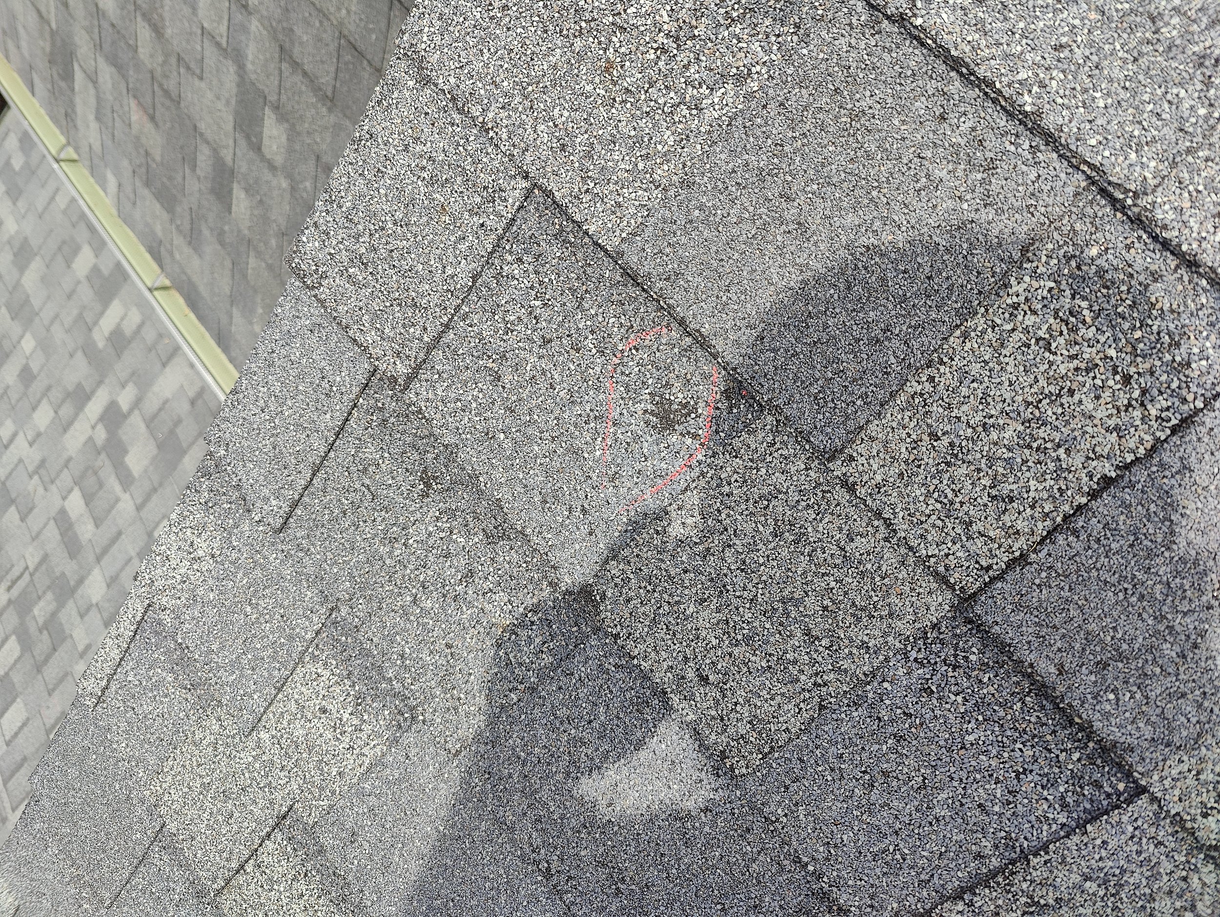 IMG20240701133741.jpg