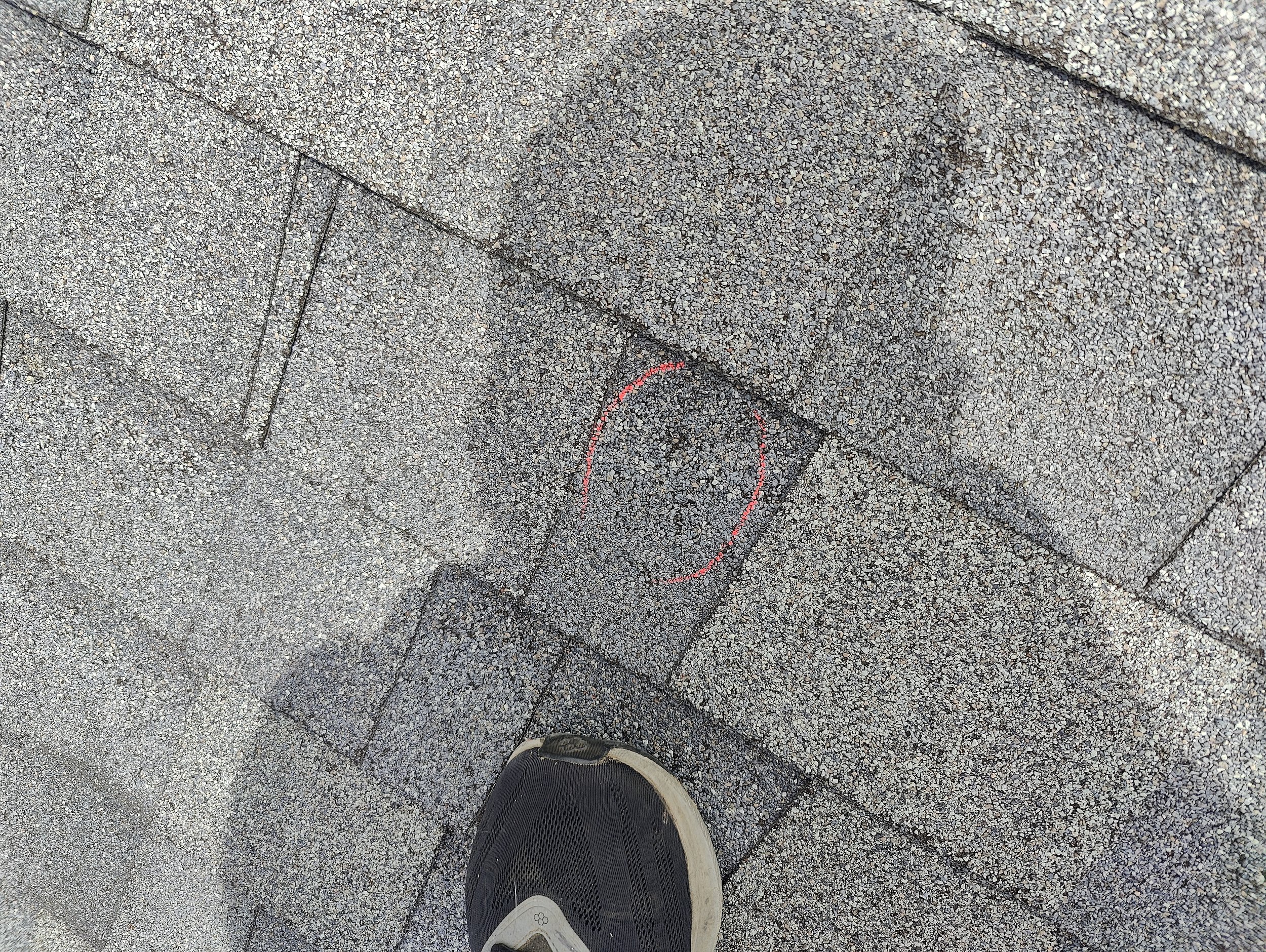 IMG20240701133744.jpg