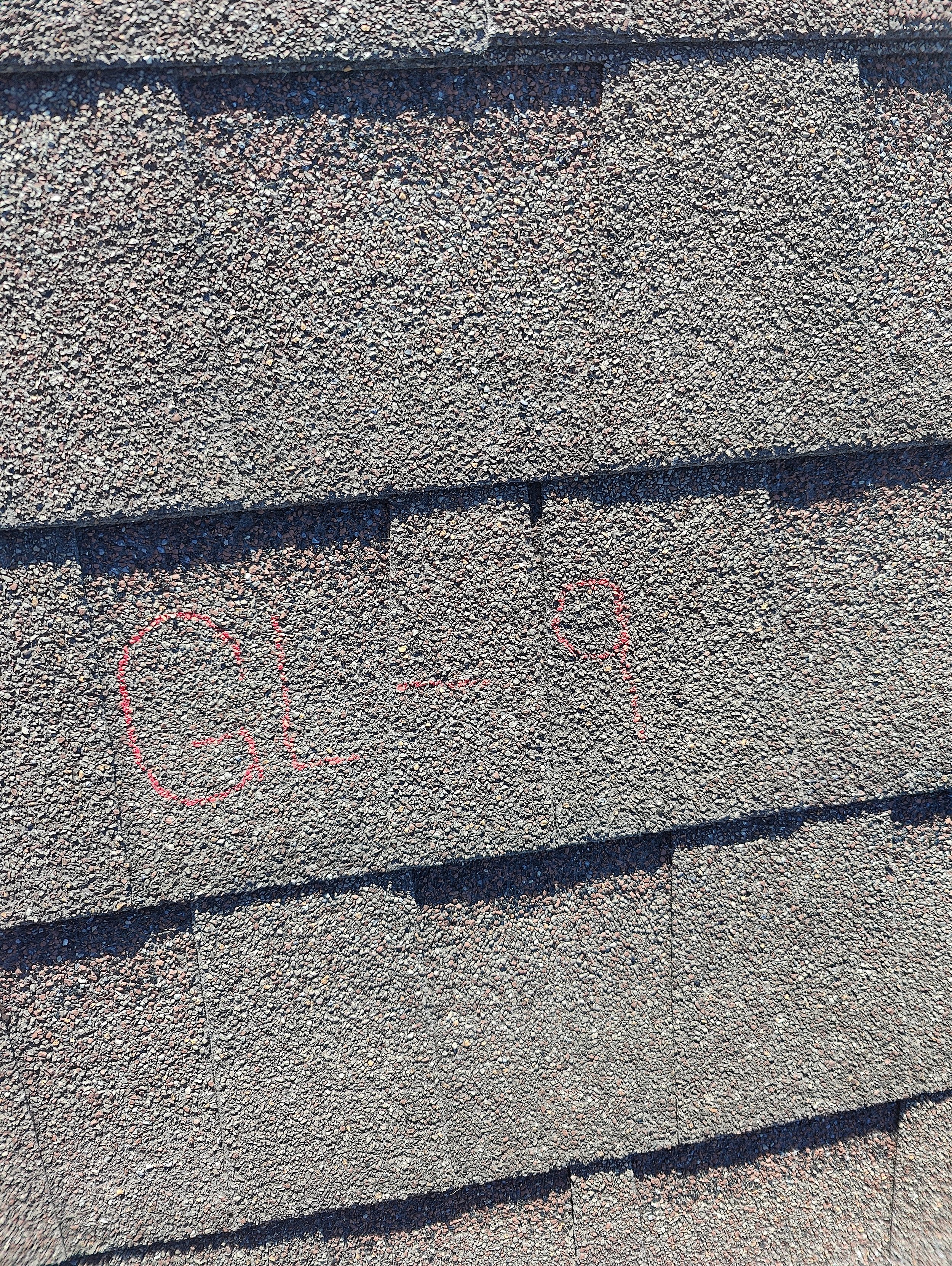 IMG20240614163619.jpg