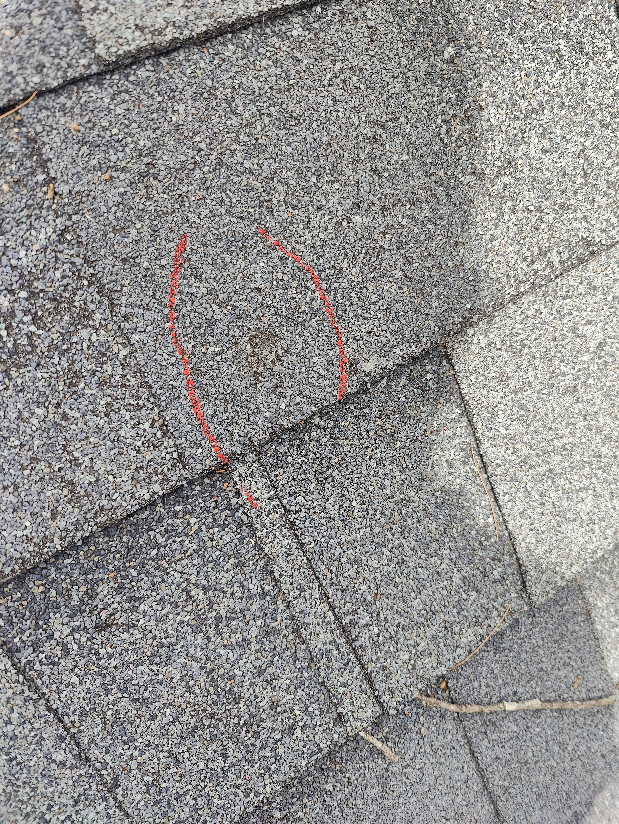 IMG20240701132606.jpg