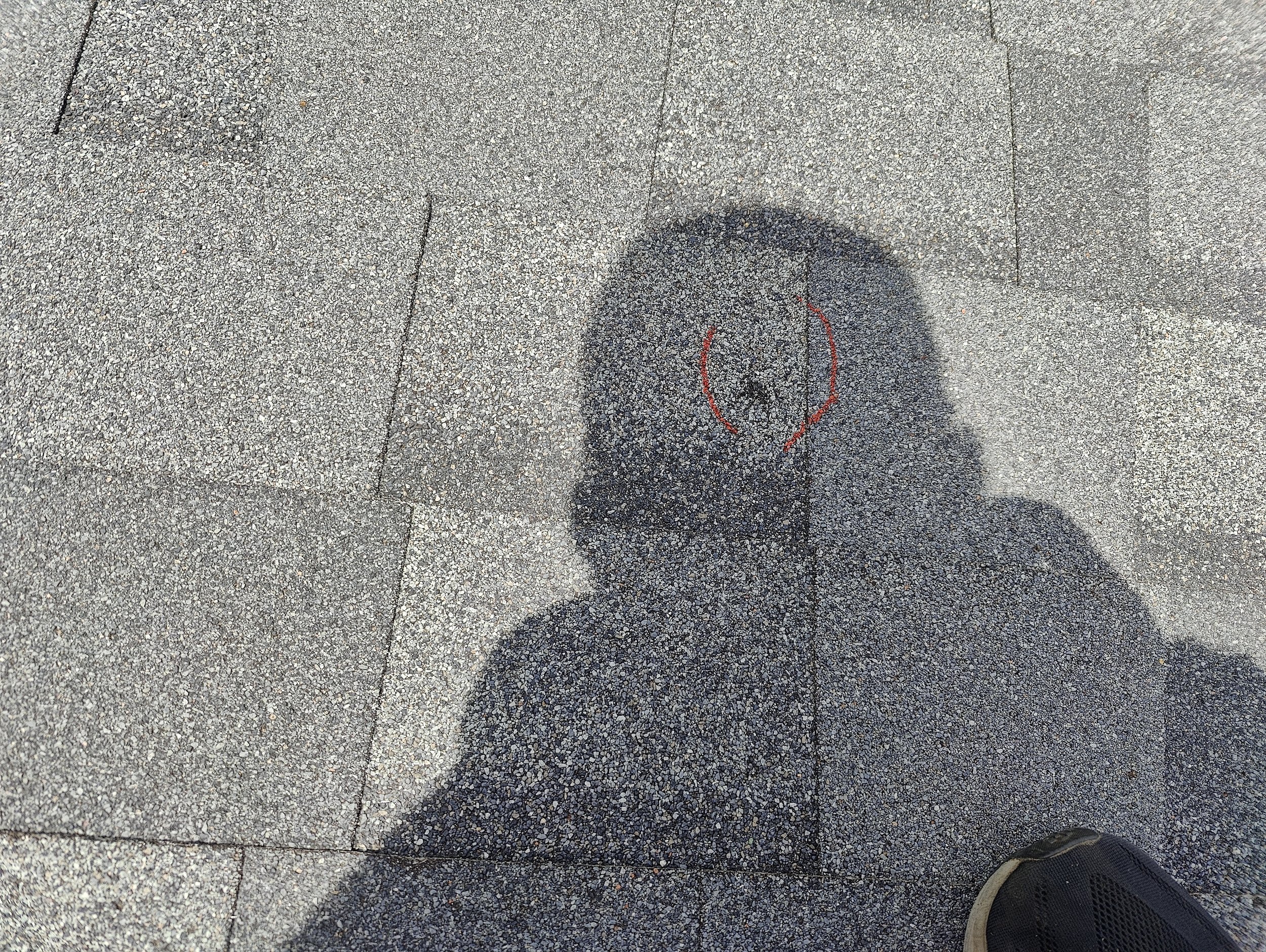 IMG20240701131154.jpg