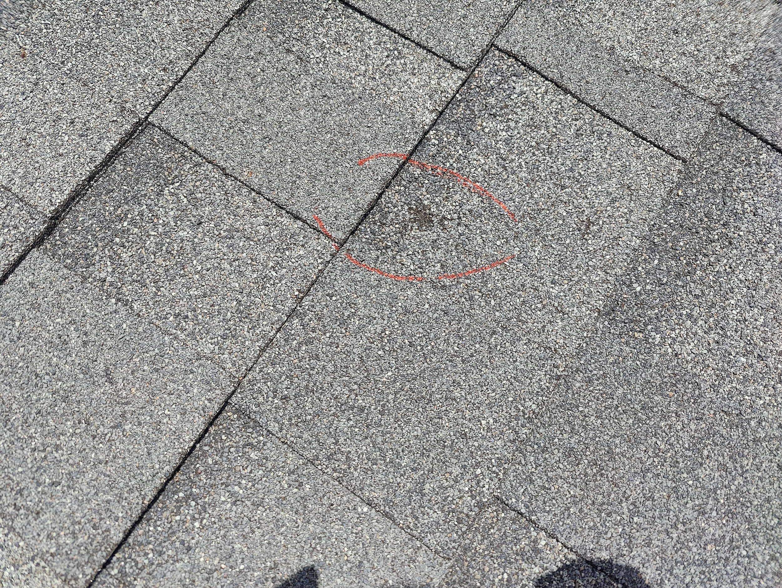 IMG20240701131157.jpg