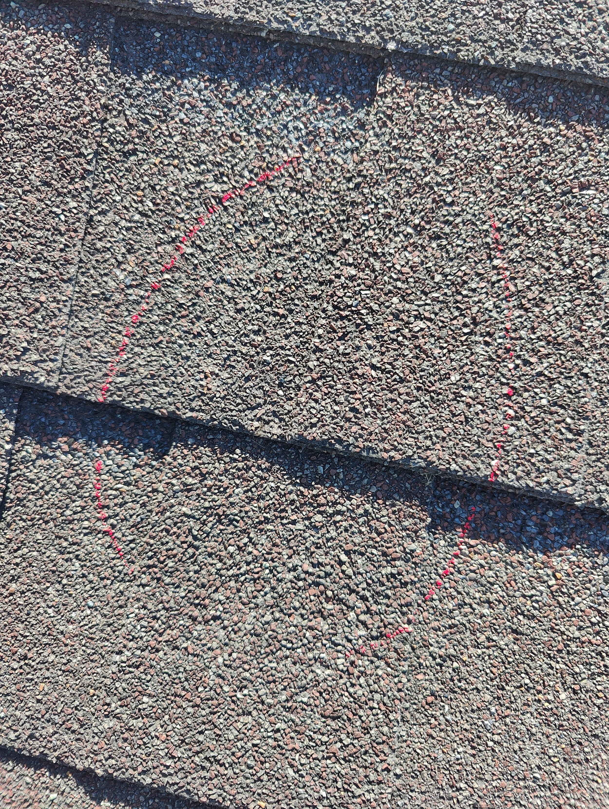 IMG20240614163613.jpg