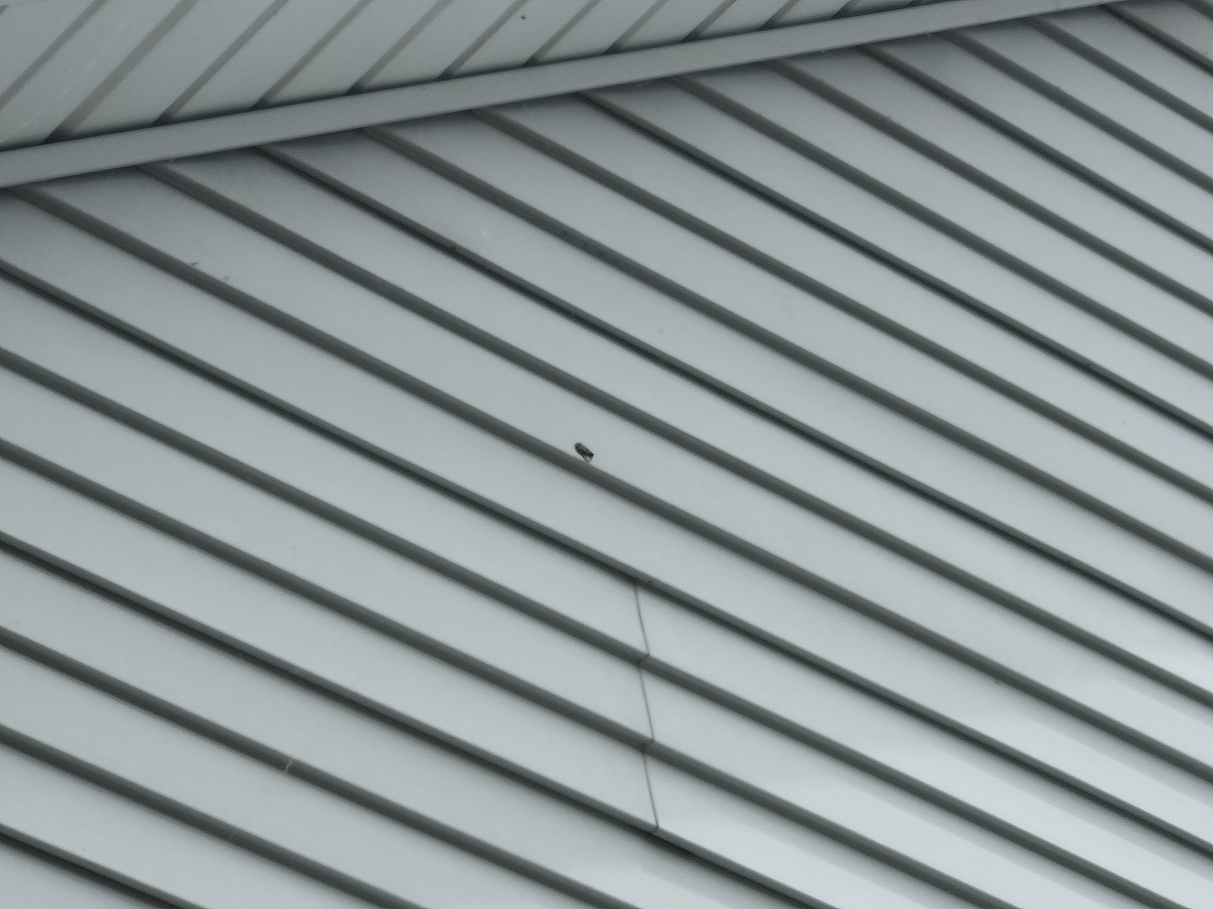 IMG20240701140059.jpg