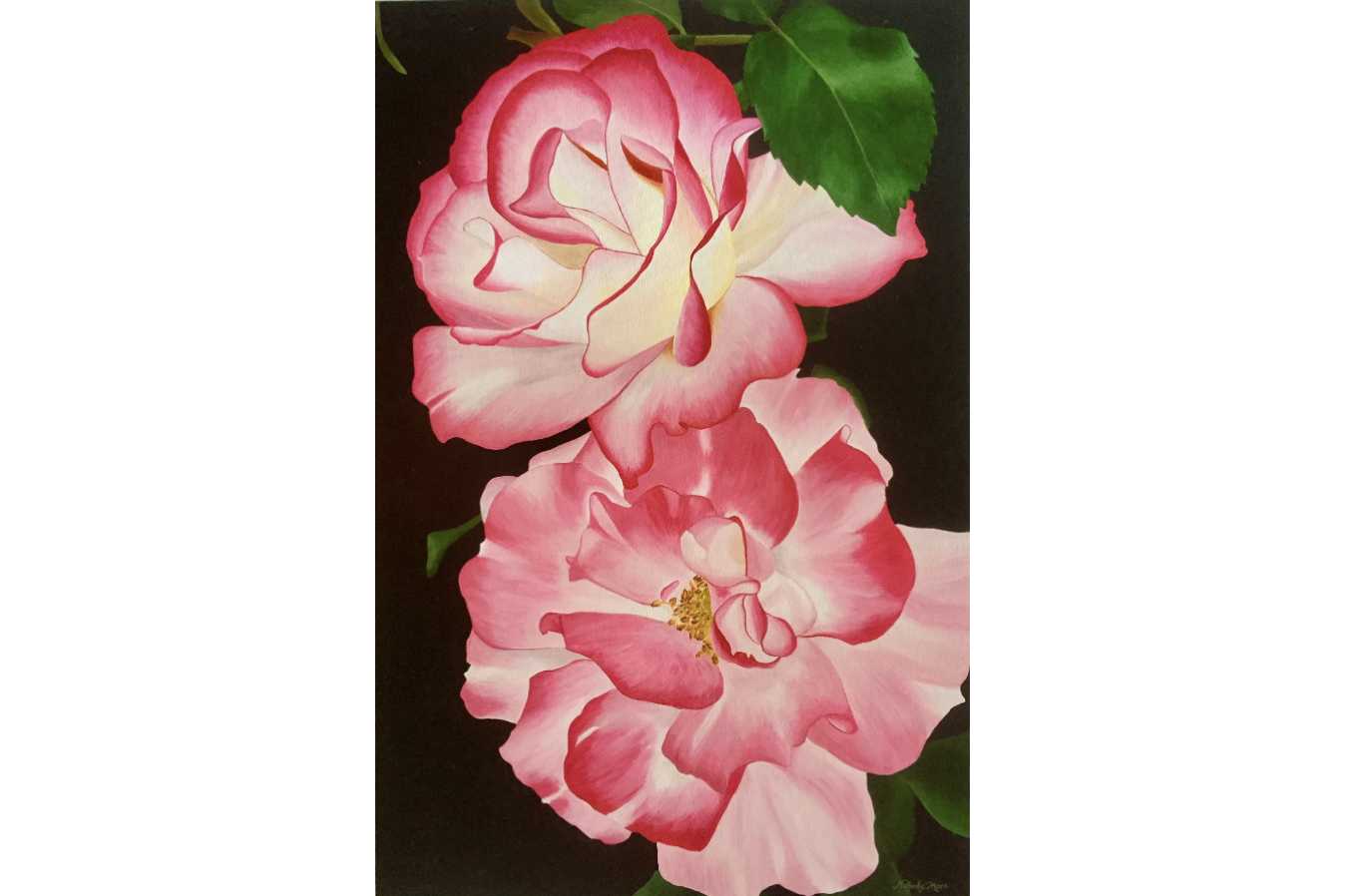 Blush 3-2 aspect.png