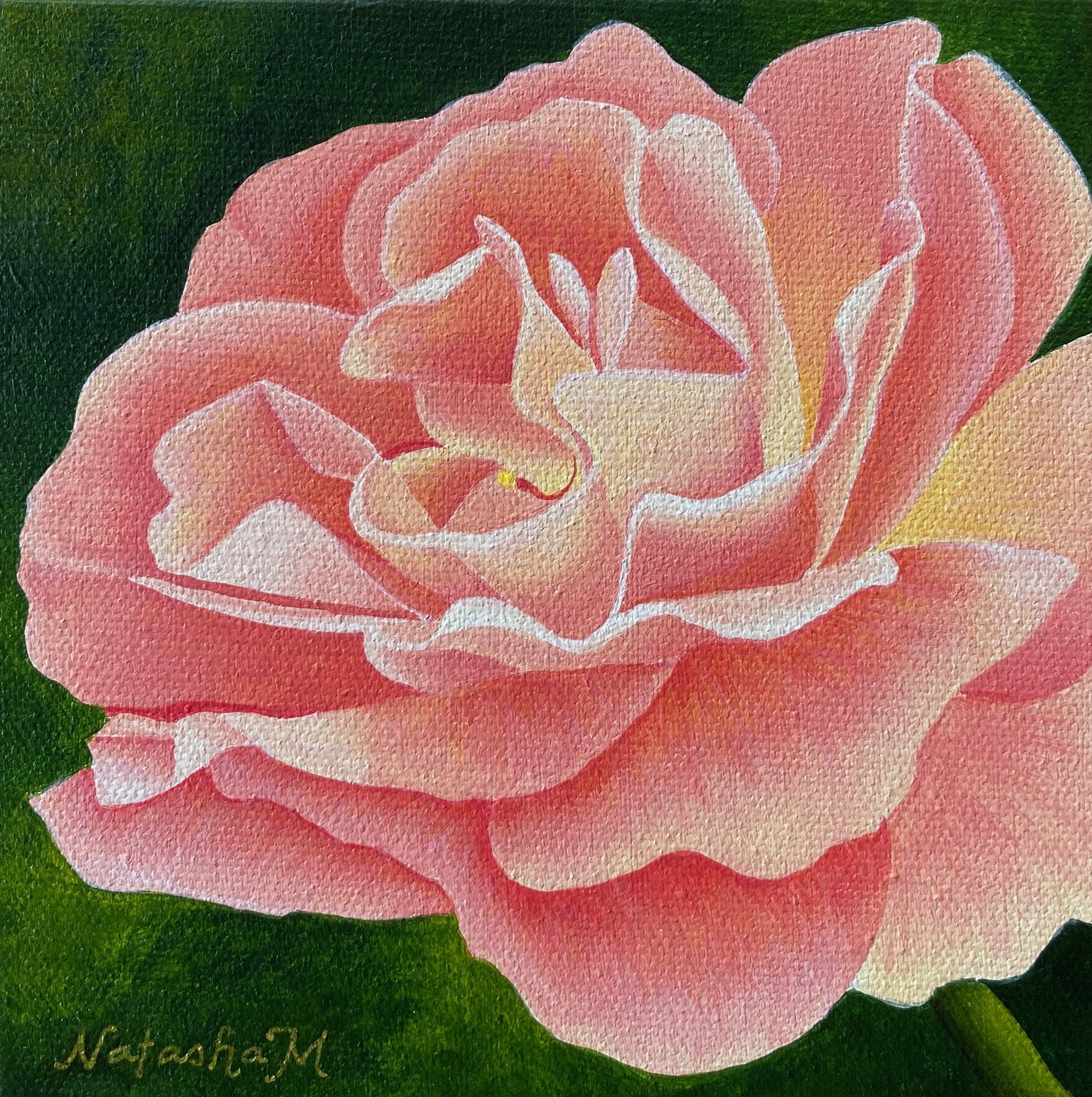 Painting of a peachy coloured rose