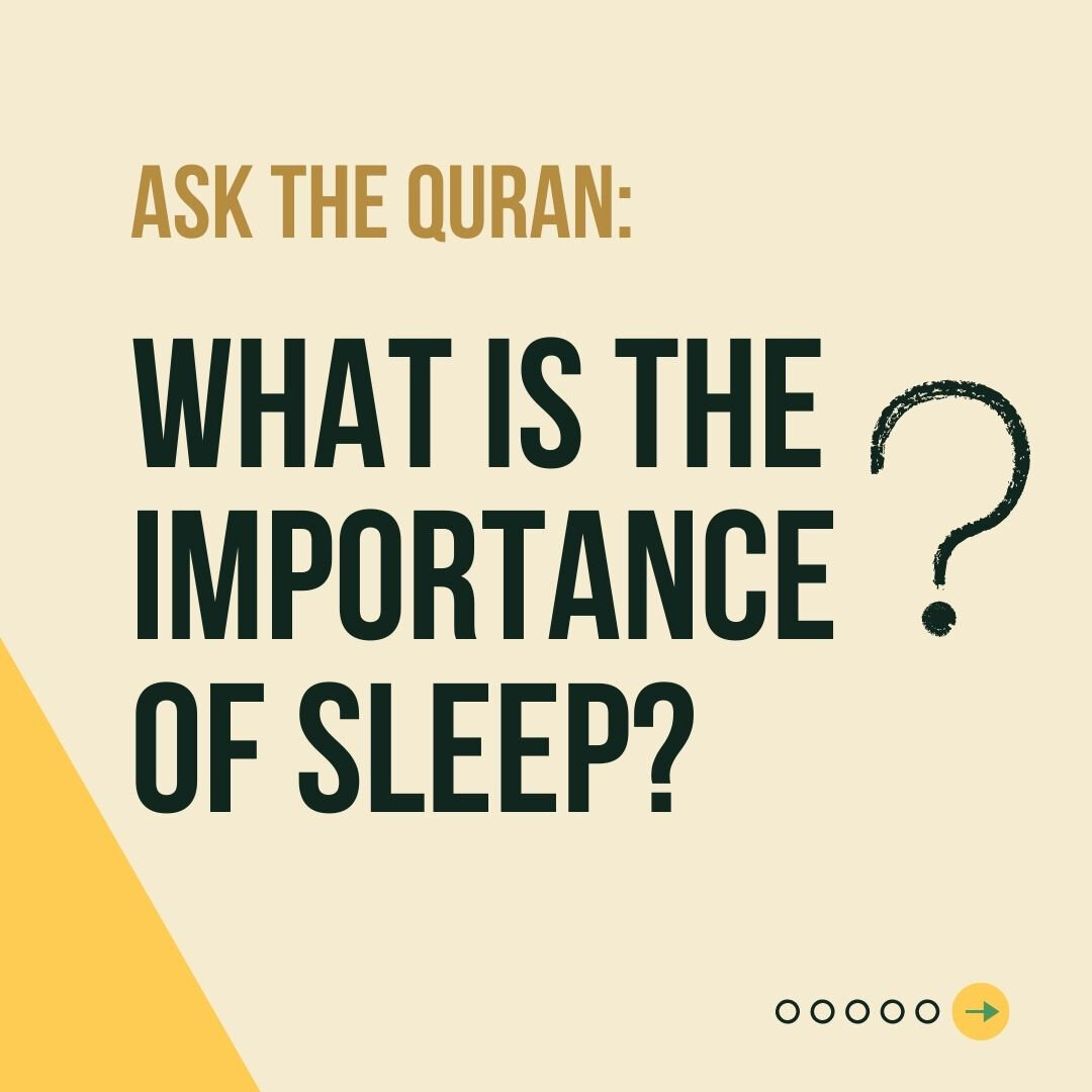 What is the importance of sleep?