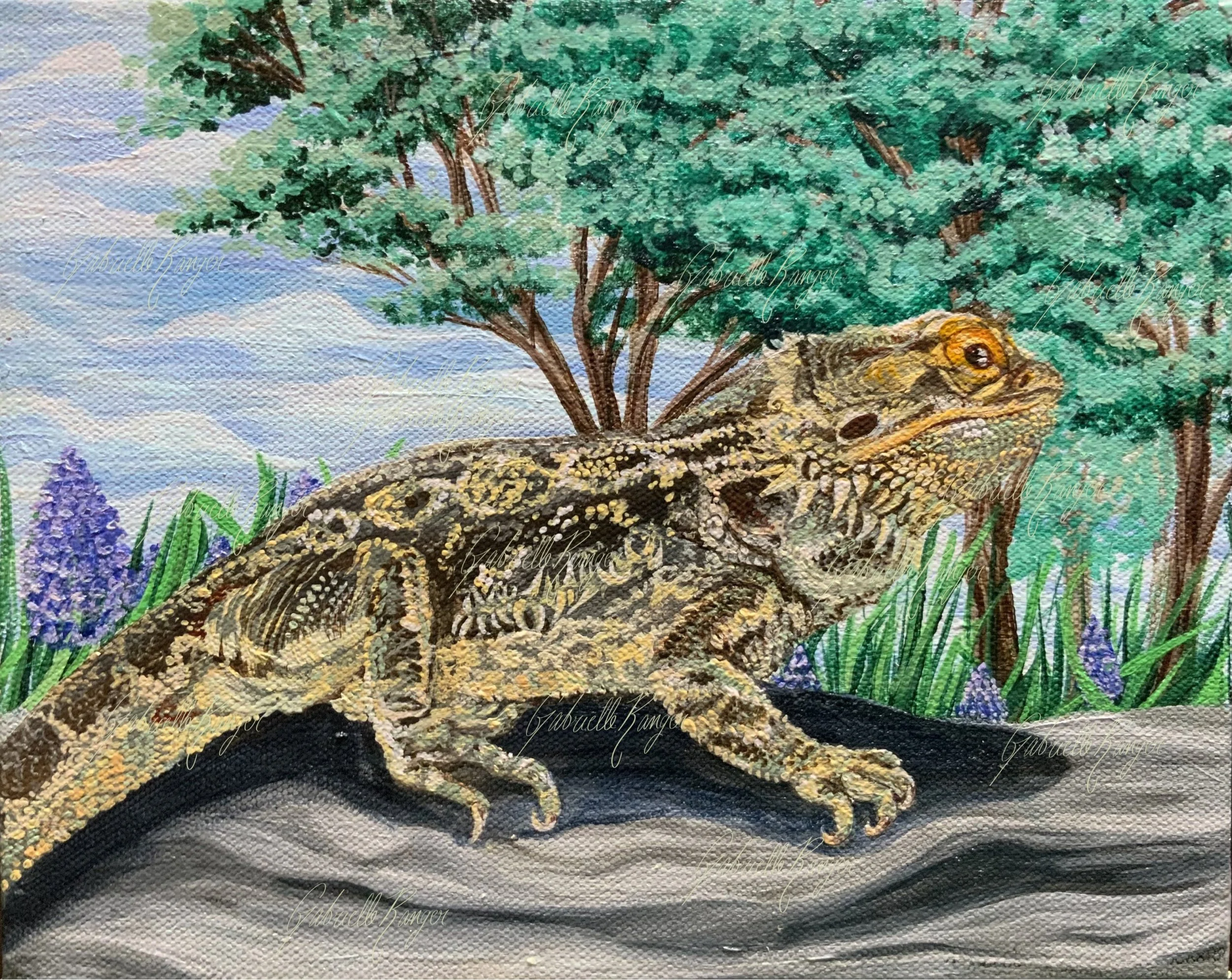 Baby Dragon (2023). 8 x 10 in. Acrylic paint on canvas. Commissioned.