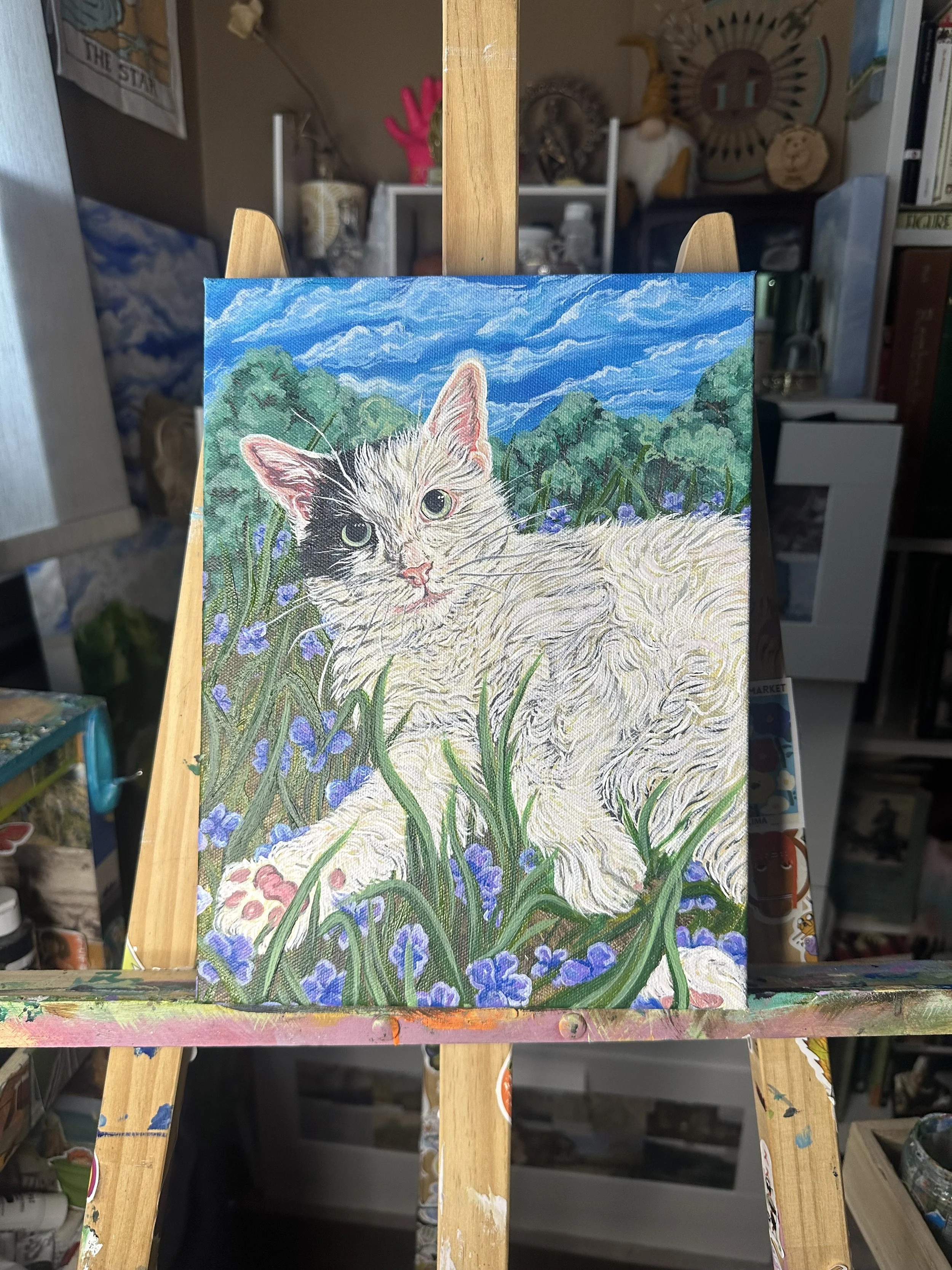 Cat study (2024). 11 x 14 in. Acrylic on canvas. Sold.