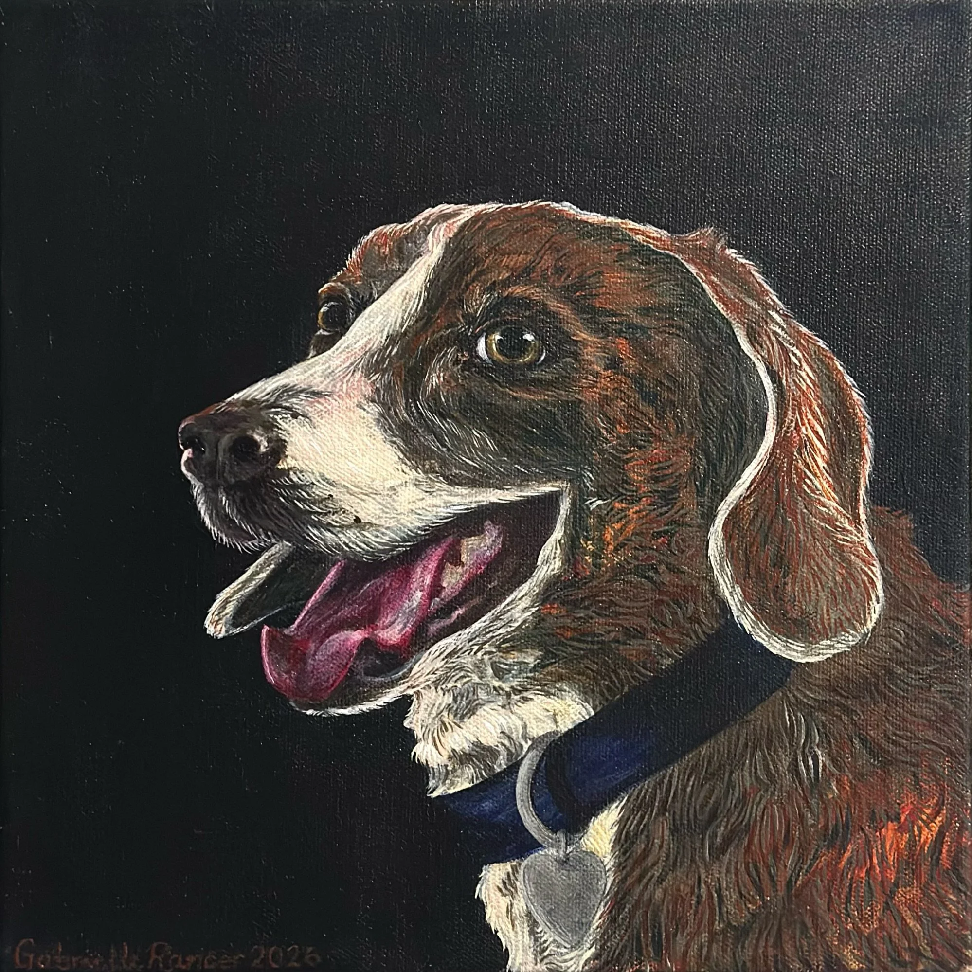 Resting Roger (2026). 12 x 12 in. Acrylic on canvas. Commissioned.