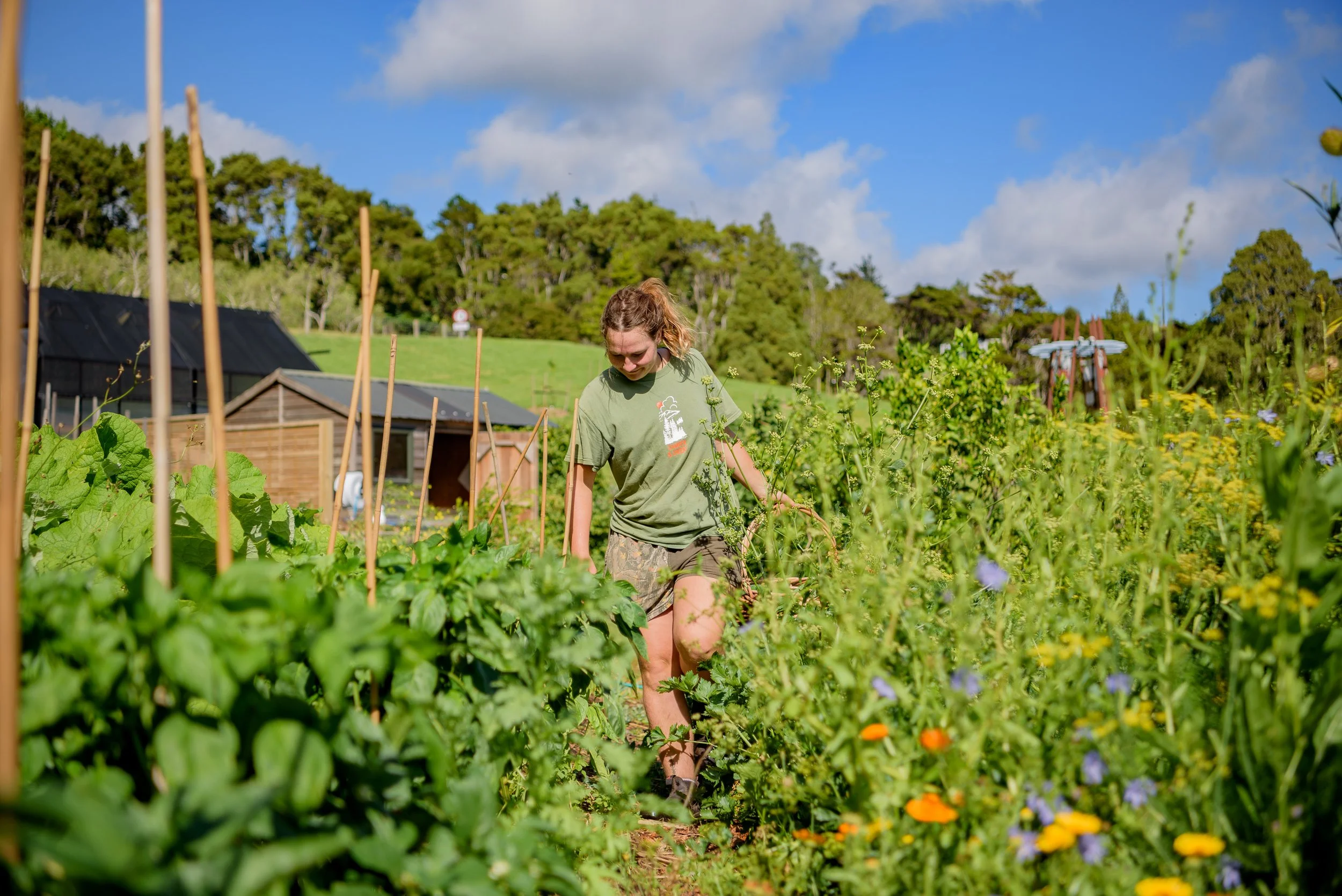 MORE THAN A GARDEN –BRICK BAY’S EDIBLE LANDSCAPE