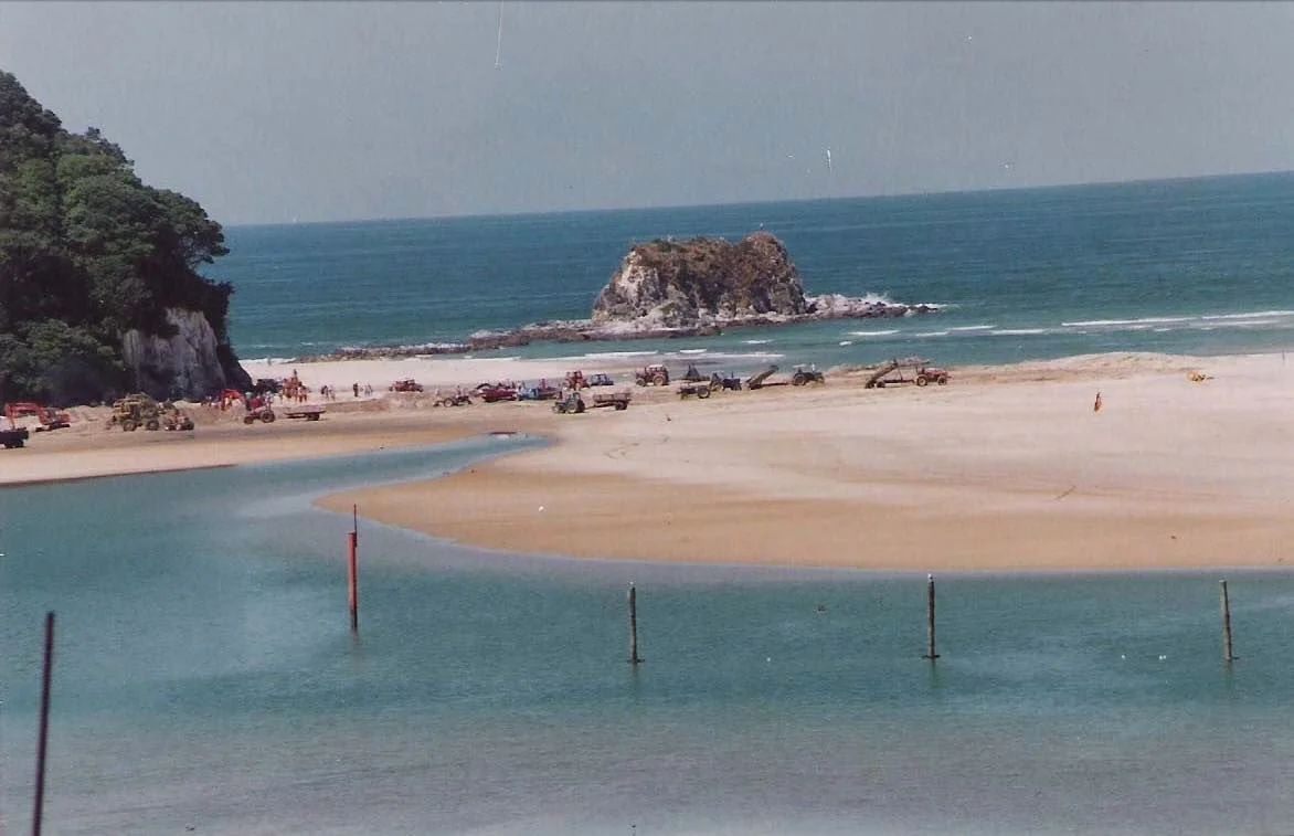 PEOPLE POWER: SAVING MANGAWHAI HARBOUR