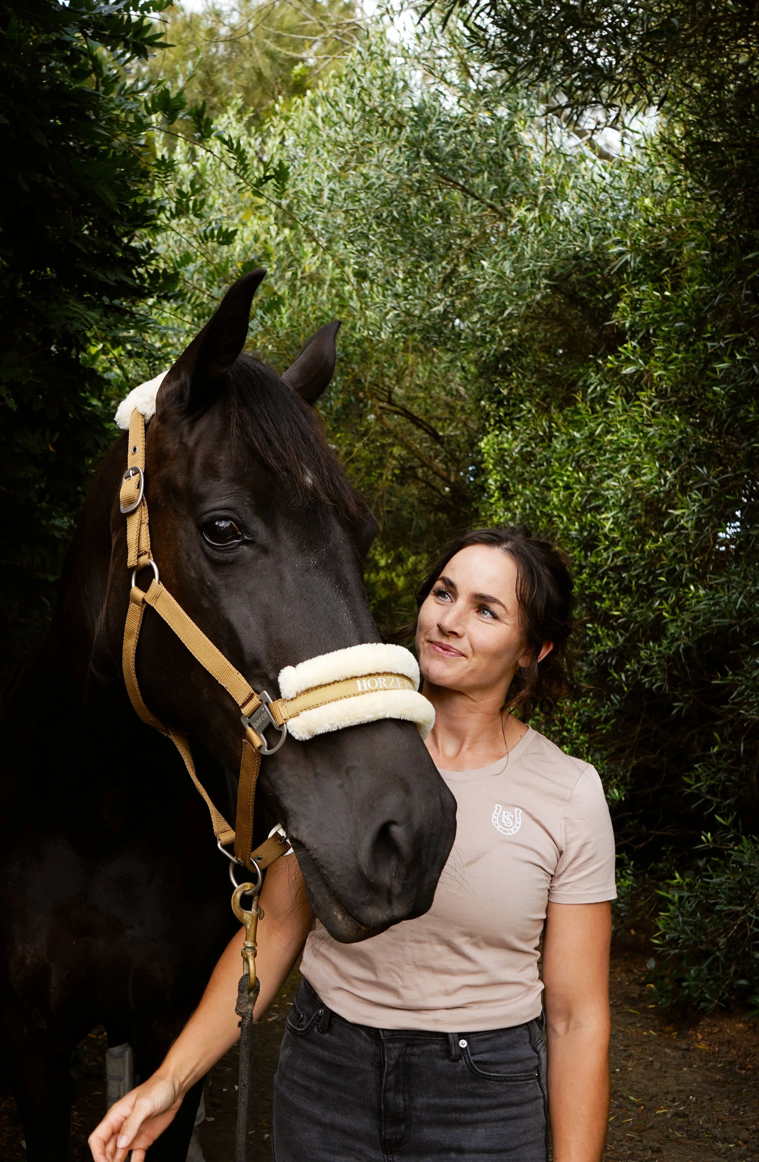 ADVANCED CARE, NEARBY– EQUISTRIDE VETERINARY