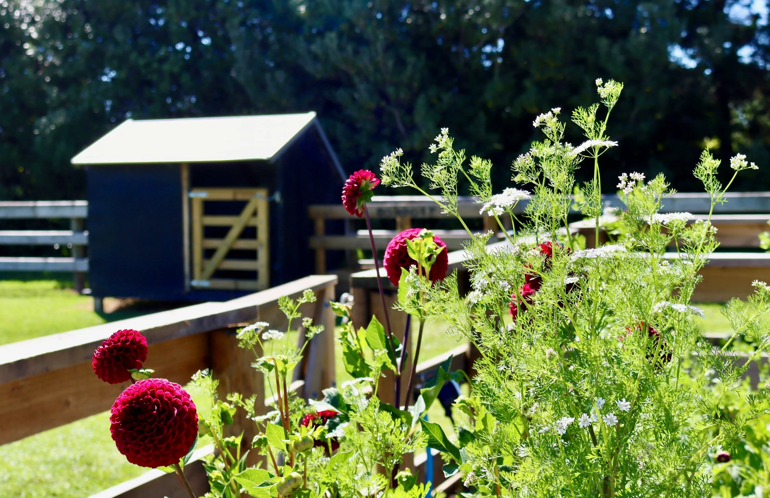 CULTIVATING SOIL AND CONNECTIONS