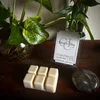 French Lilac Melts sitting on a tray with a pothos plant in the background and a moon stone in the foreground