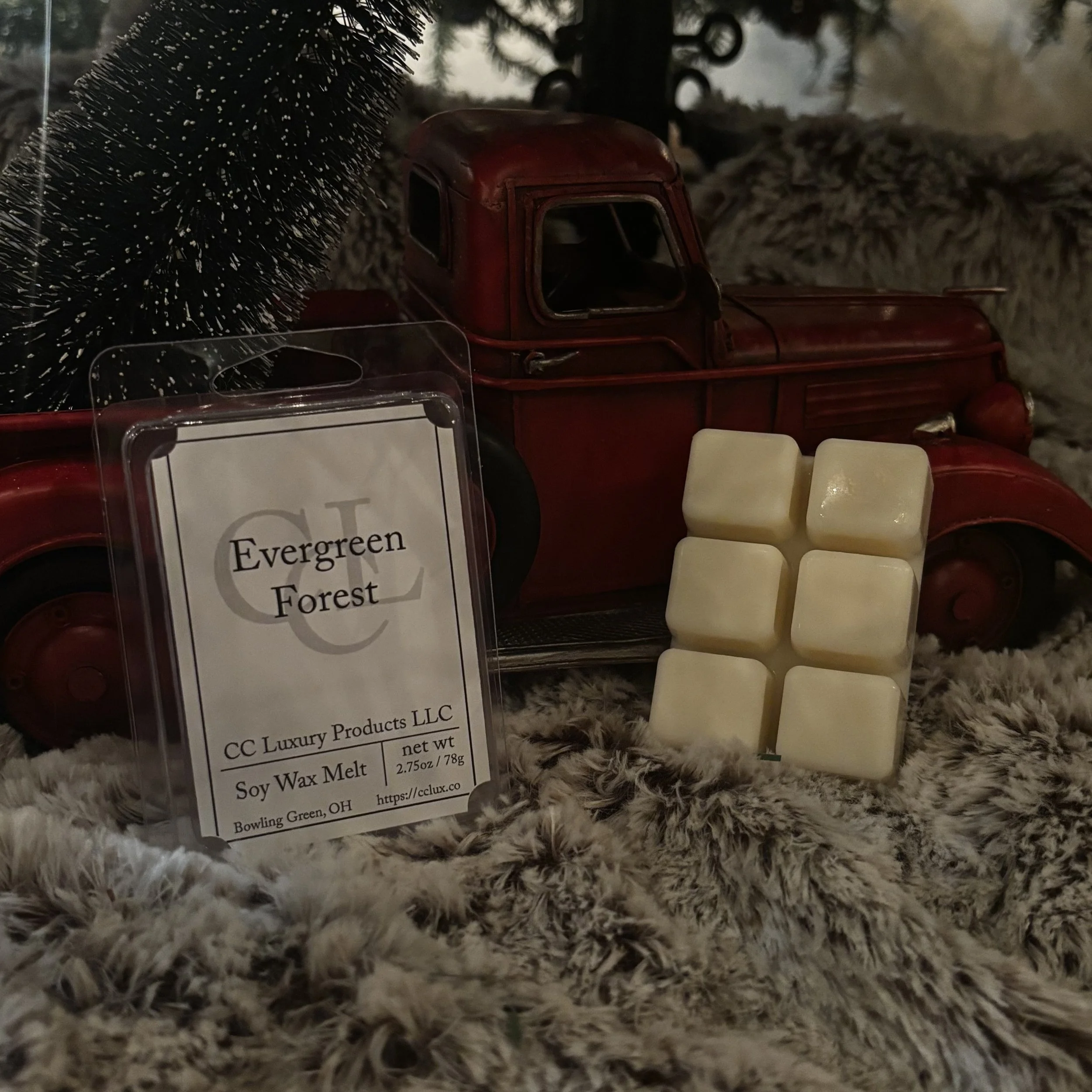 Evergreen Forest_Melt.jpeg