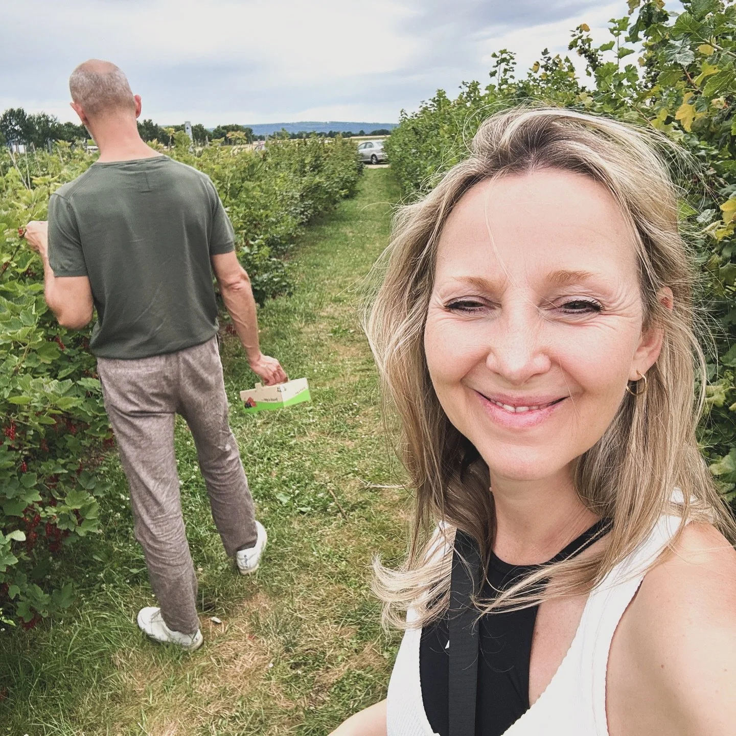 Nat&uuml;rliche Gesundheits-Booster 🌿
Beeren sind reich an Antioxidantien, st&auml;rken das Immunsystem und f&ouml;rdern die Zellgesundheit. Ich liebs! Frisch gesammelt entfalten sie ihre volle Wirkung! 🍇✨

#beeren #antioxidantien #frischgesammelt