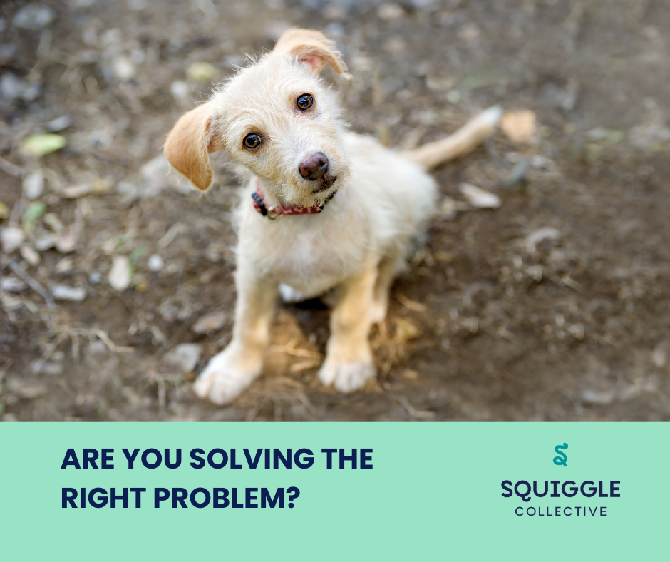 Are you solving the right problem?
