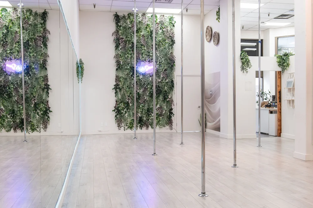 Inside AVA Movement Studios