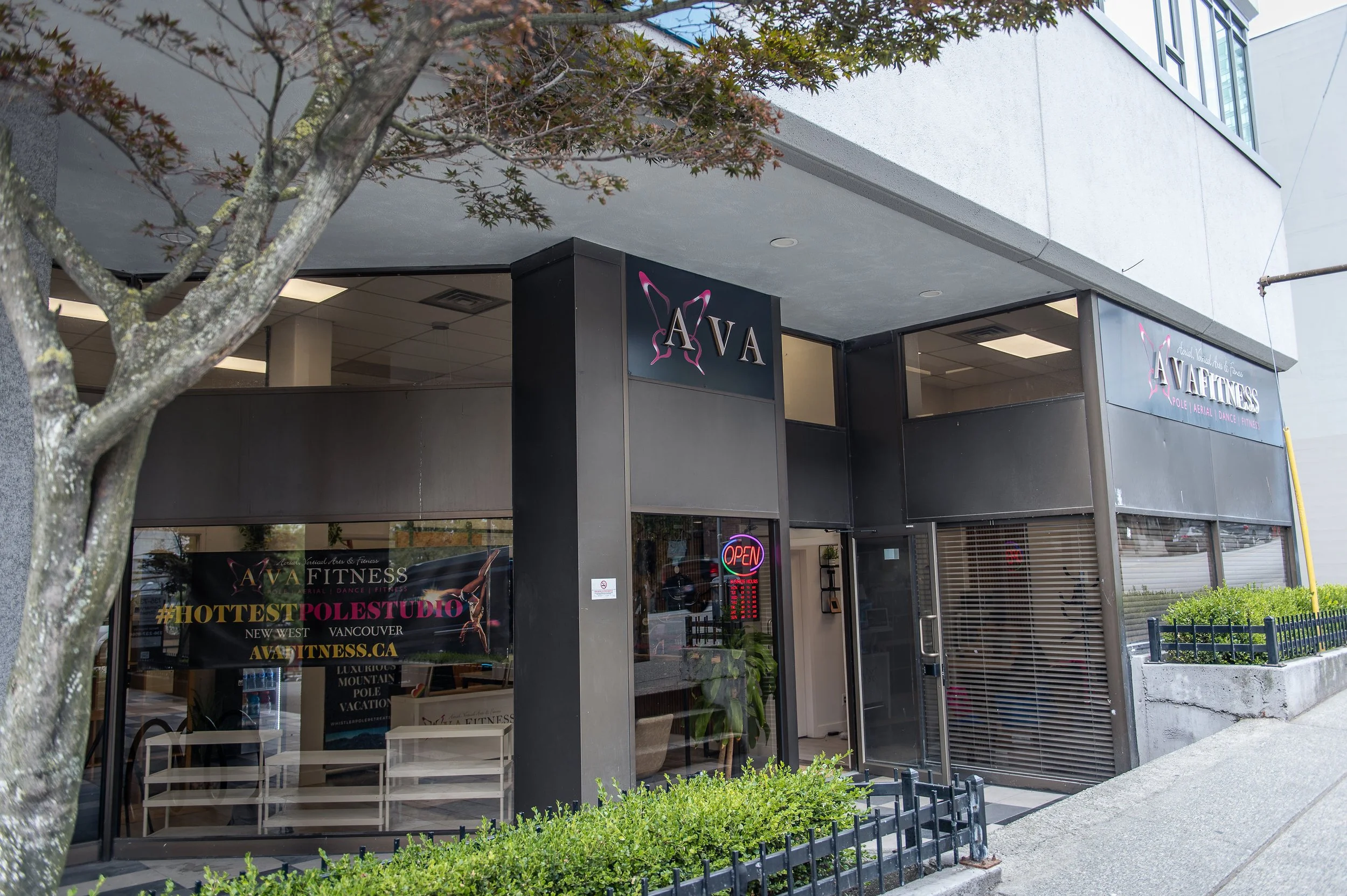 AVA-studio-2025-2981.jpg