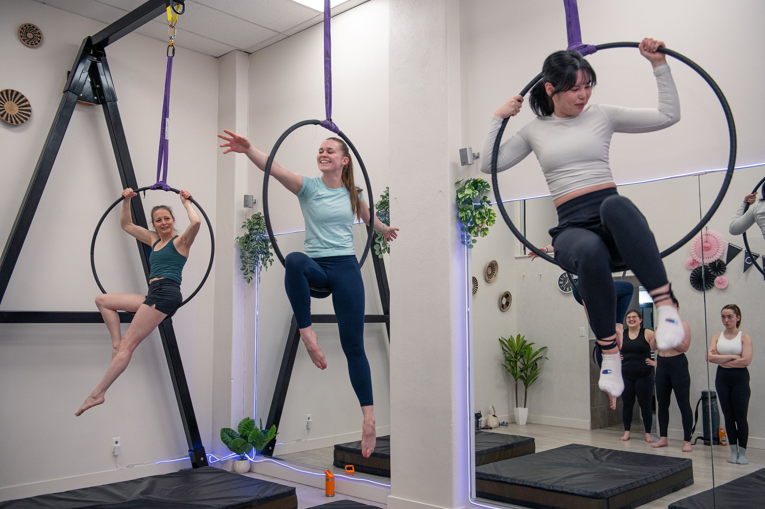 AVA Fitness Pole Dance Studios logo