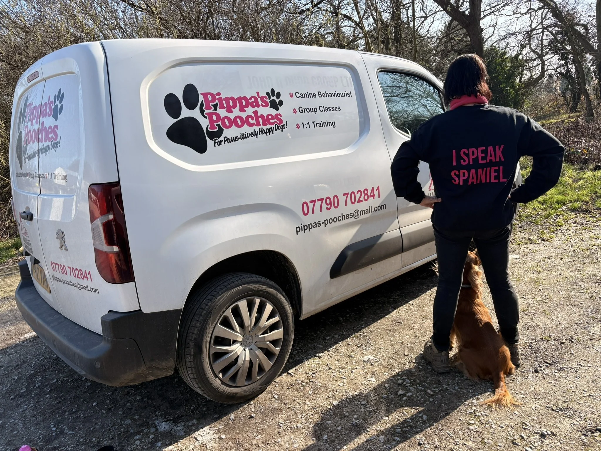 spaniel trainer with working cocker spaniel