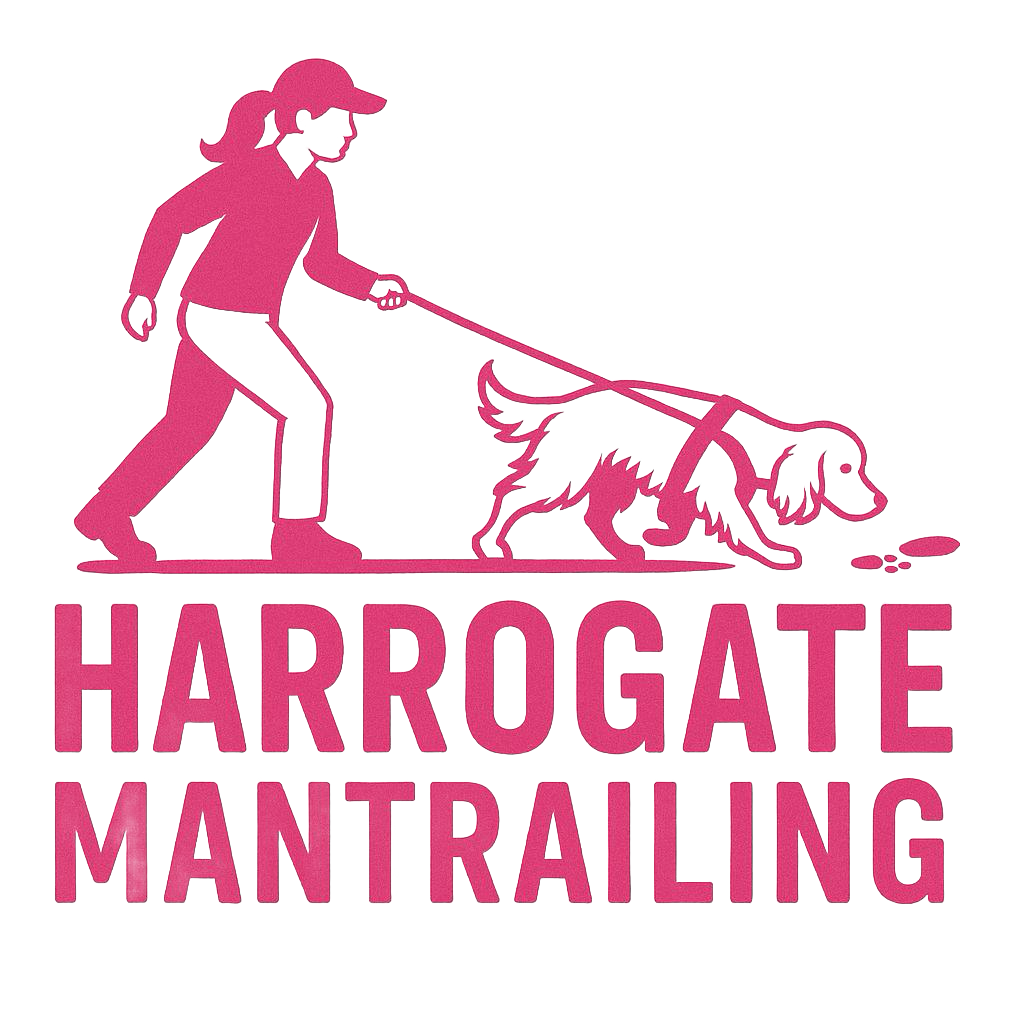Logo for Harrogate Mantrailing