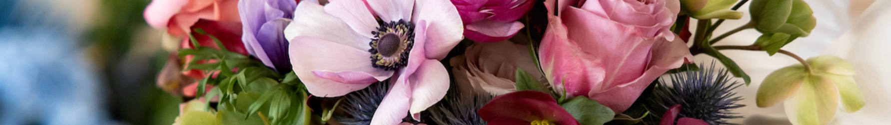 Floral & Decor.png
