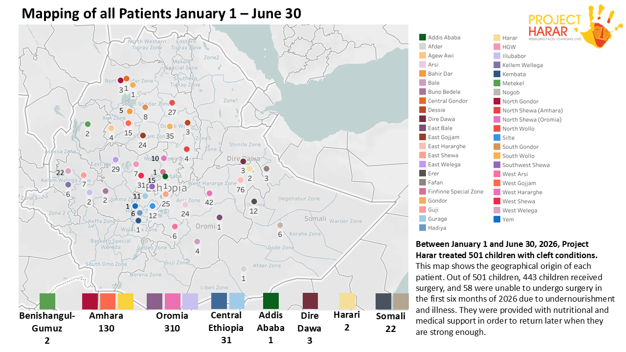 Mapping of all Patients Jan 1 - June 30 .png