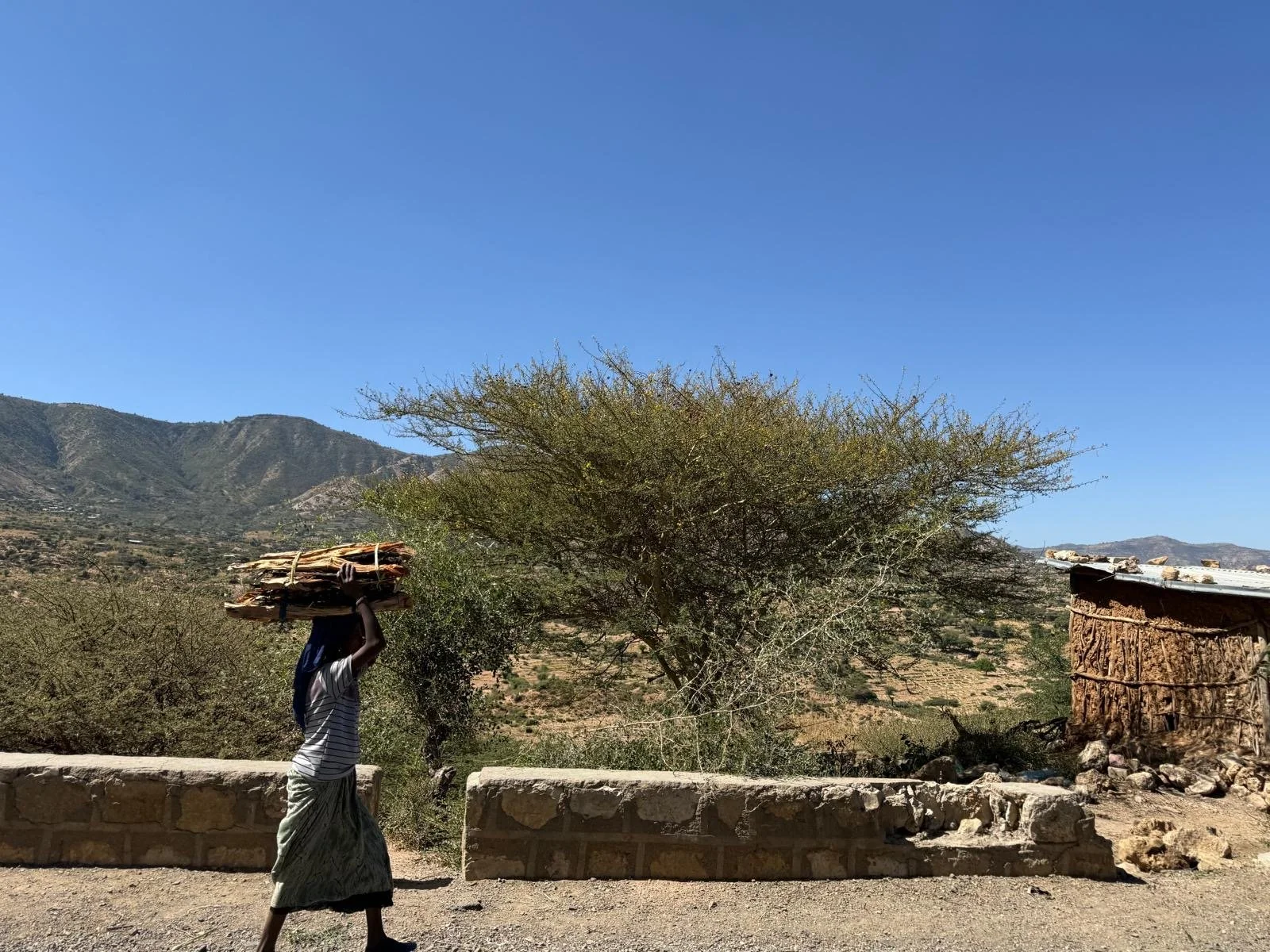 Working in the Somali Region again...