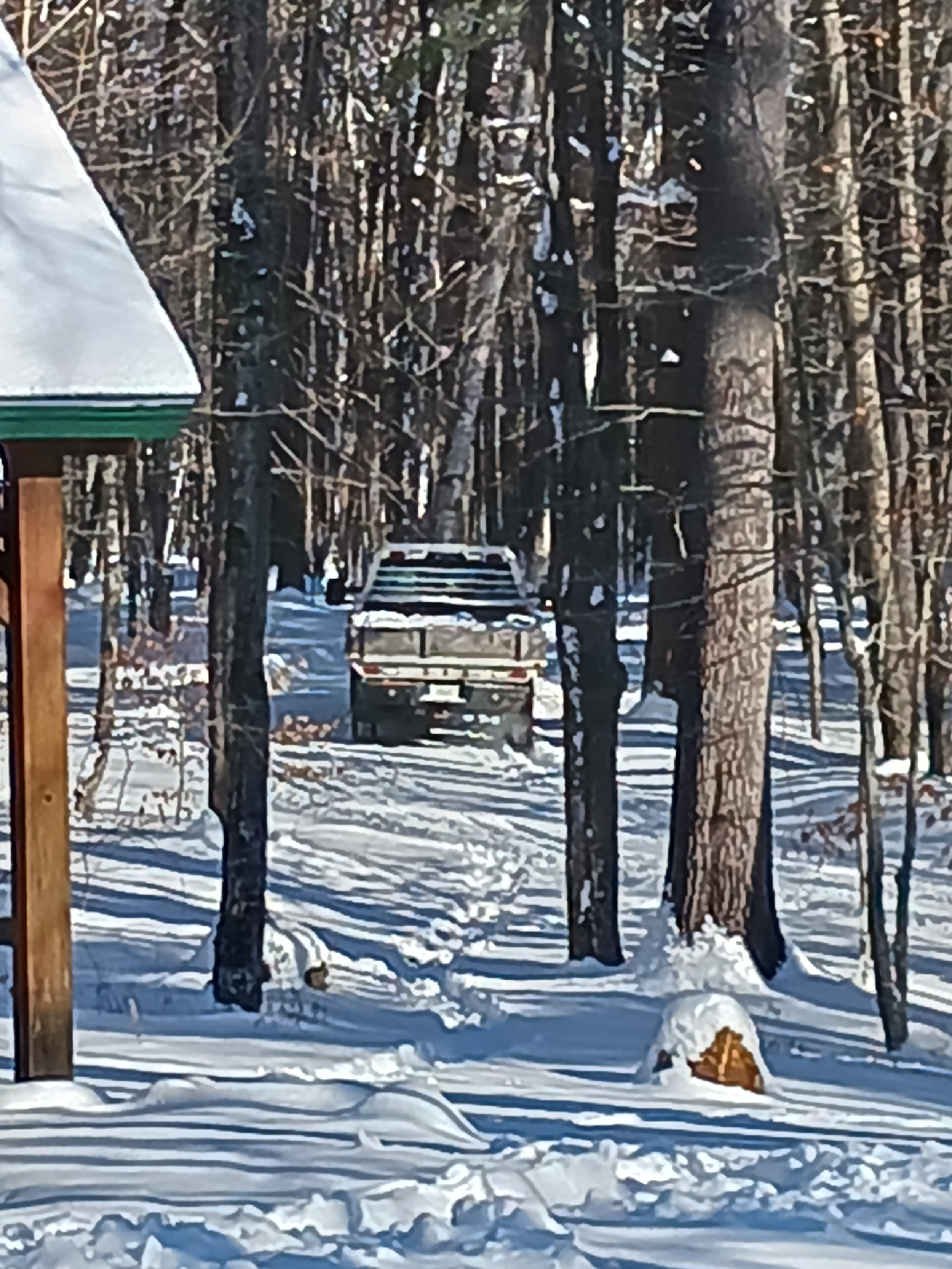 The Park Ranger.jpeg