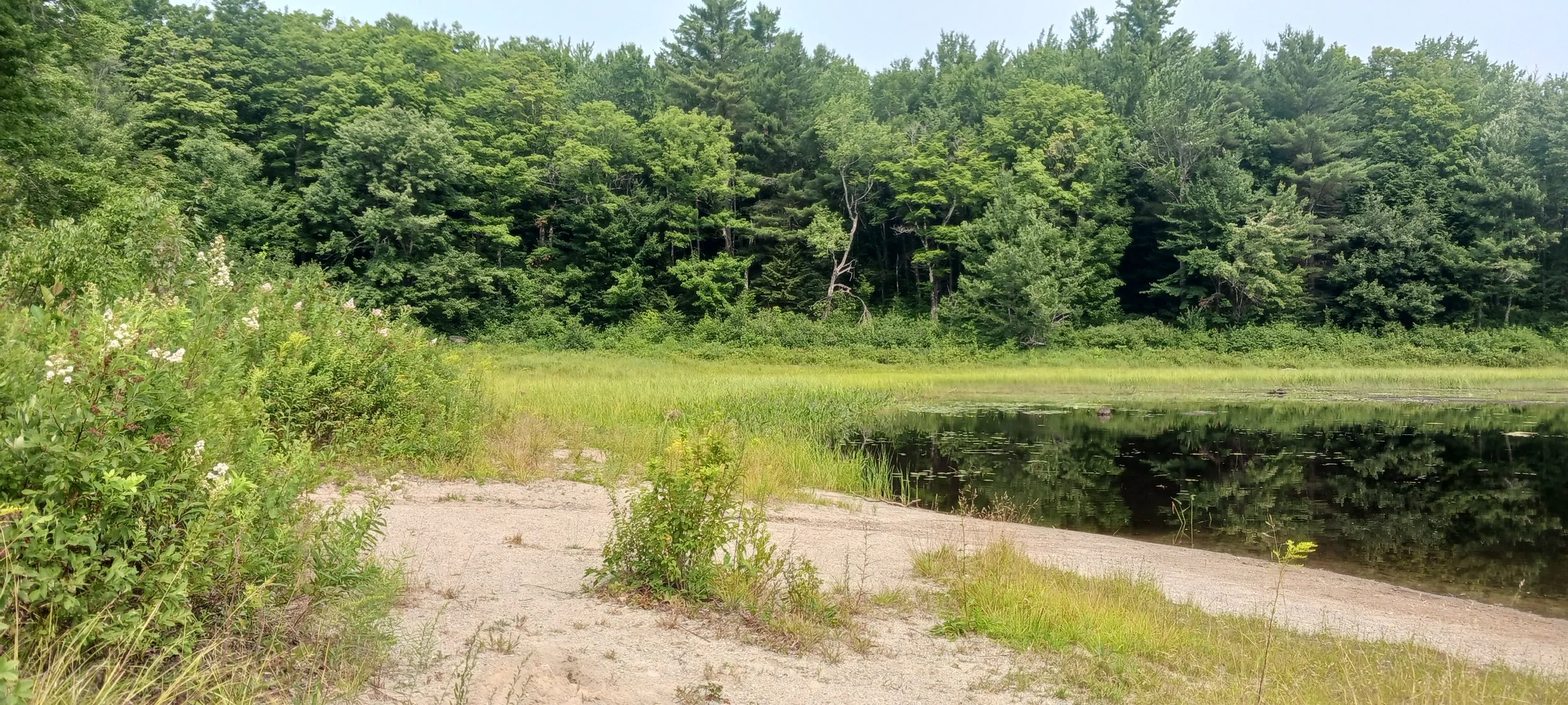 20260718_101823.jpg