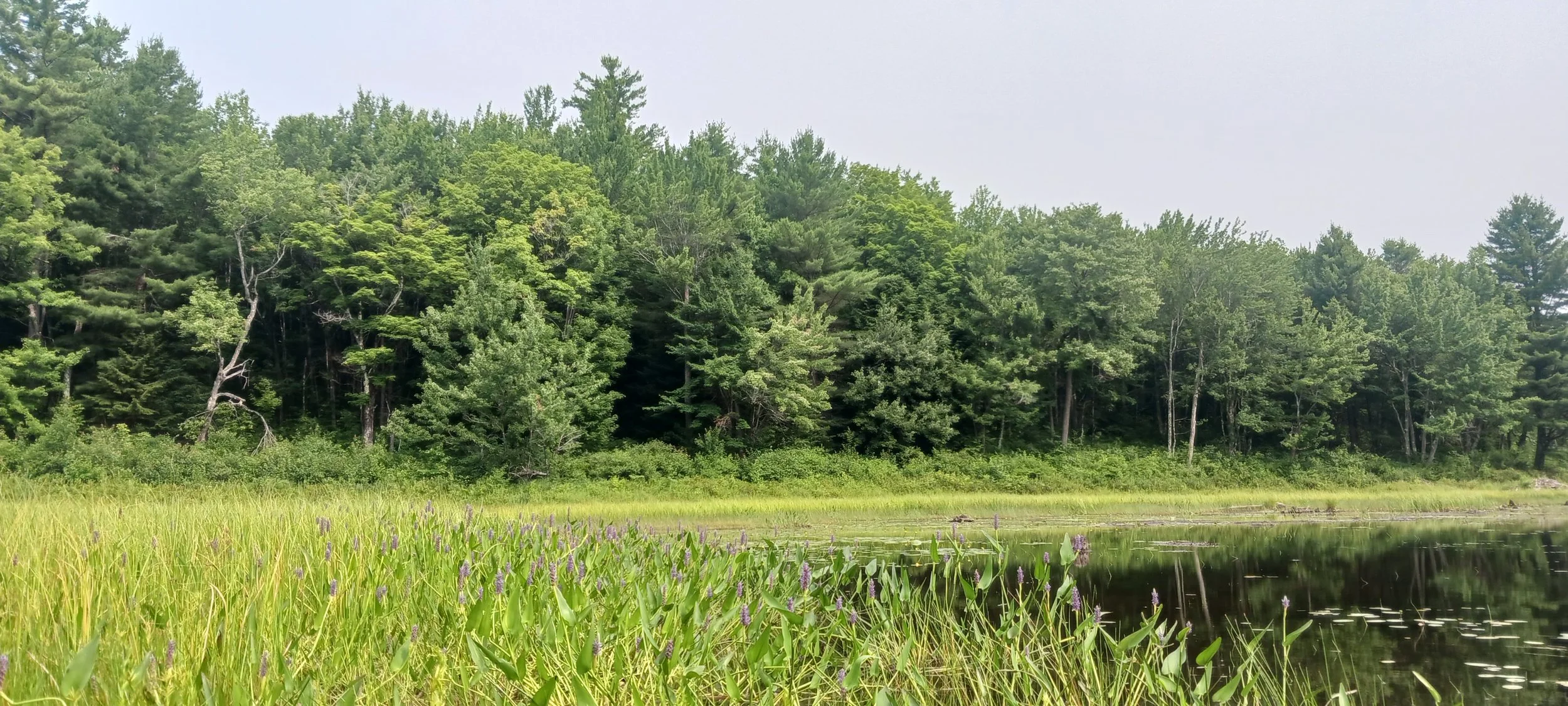 20260718_102257.jpg