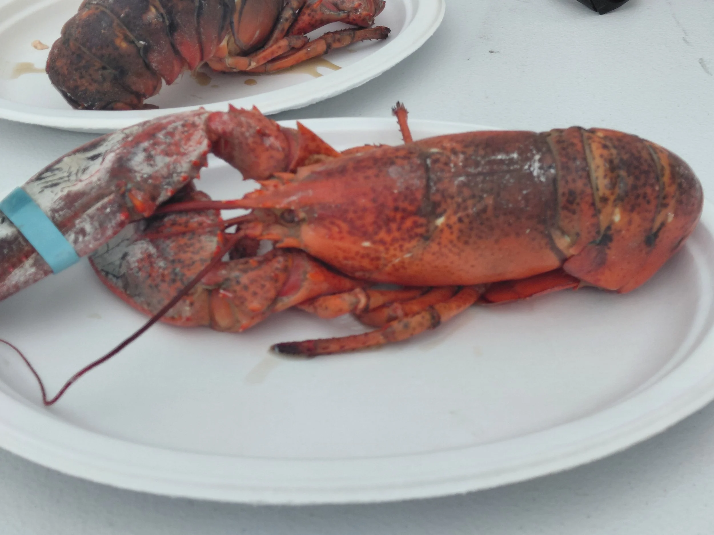 20260626_175017.jpg