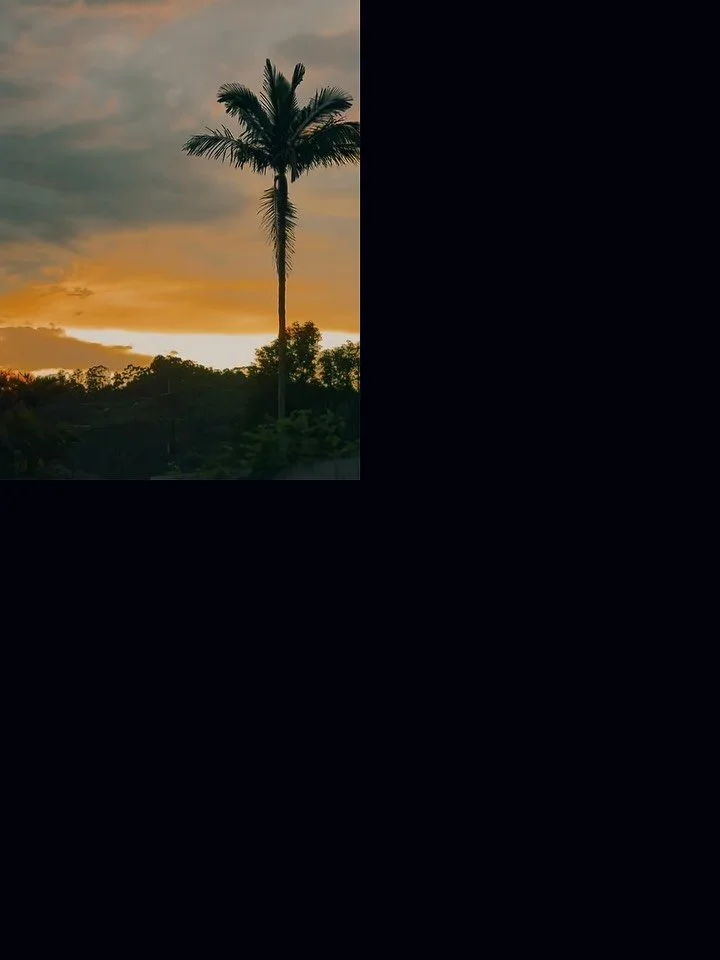 Seeking preferably one, or two tenants. (1 x 1 year minimum) rent negotiable for the right person. 
$269 per week for each space. 
You may sublease with approval. 

Space 1: $269 per week
- Completely private
- large window
- Accessed from space 2
- 