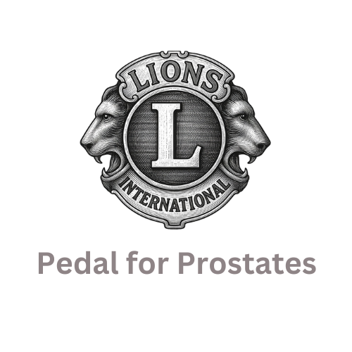 Lions logo.png