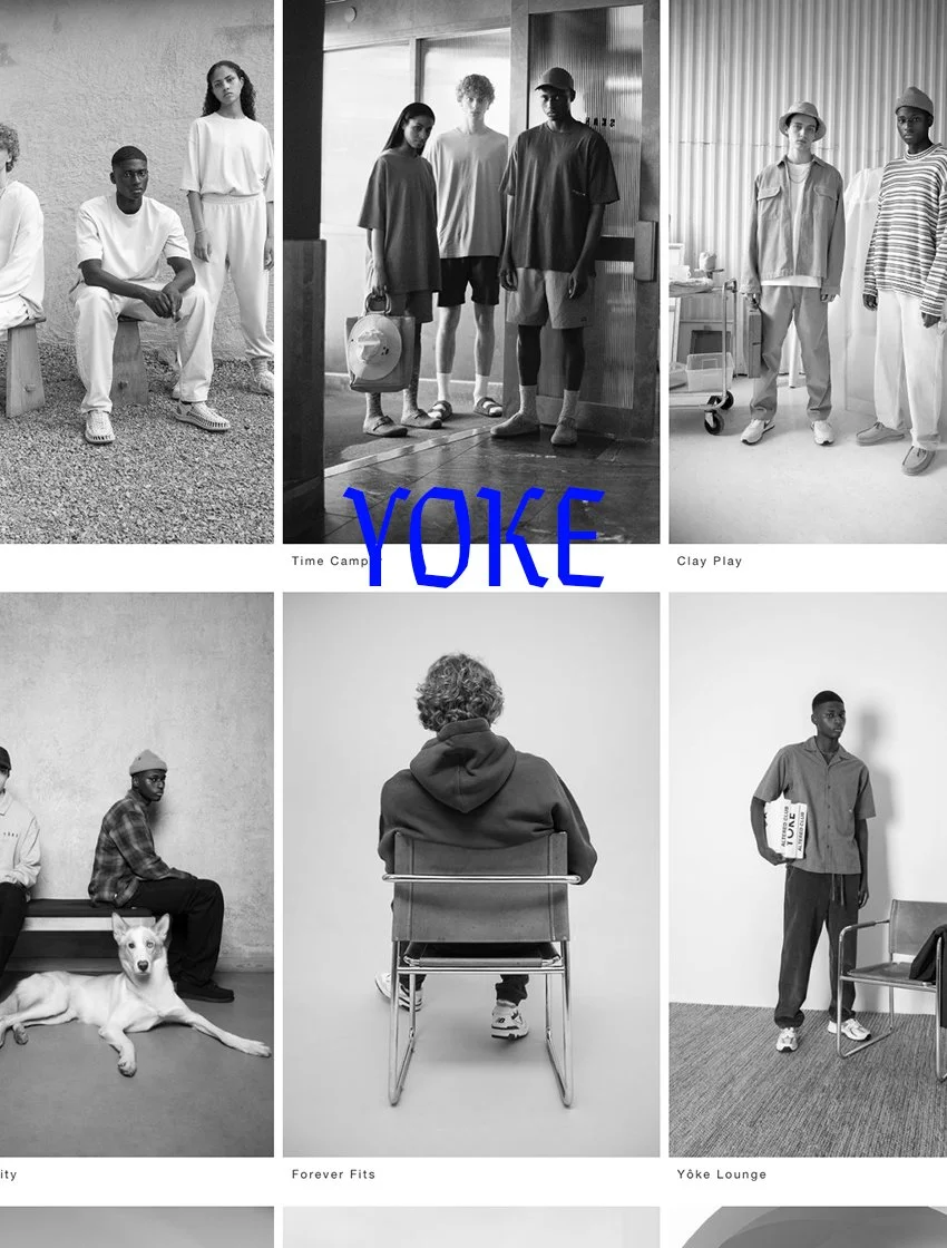 yoke.jpg