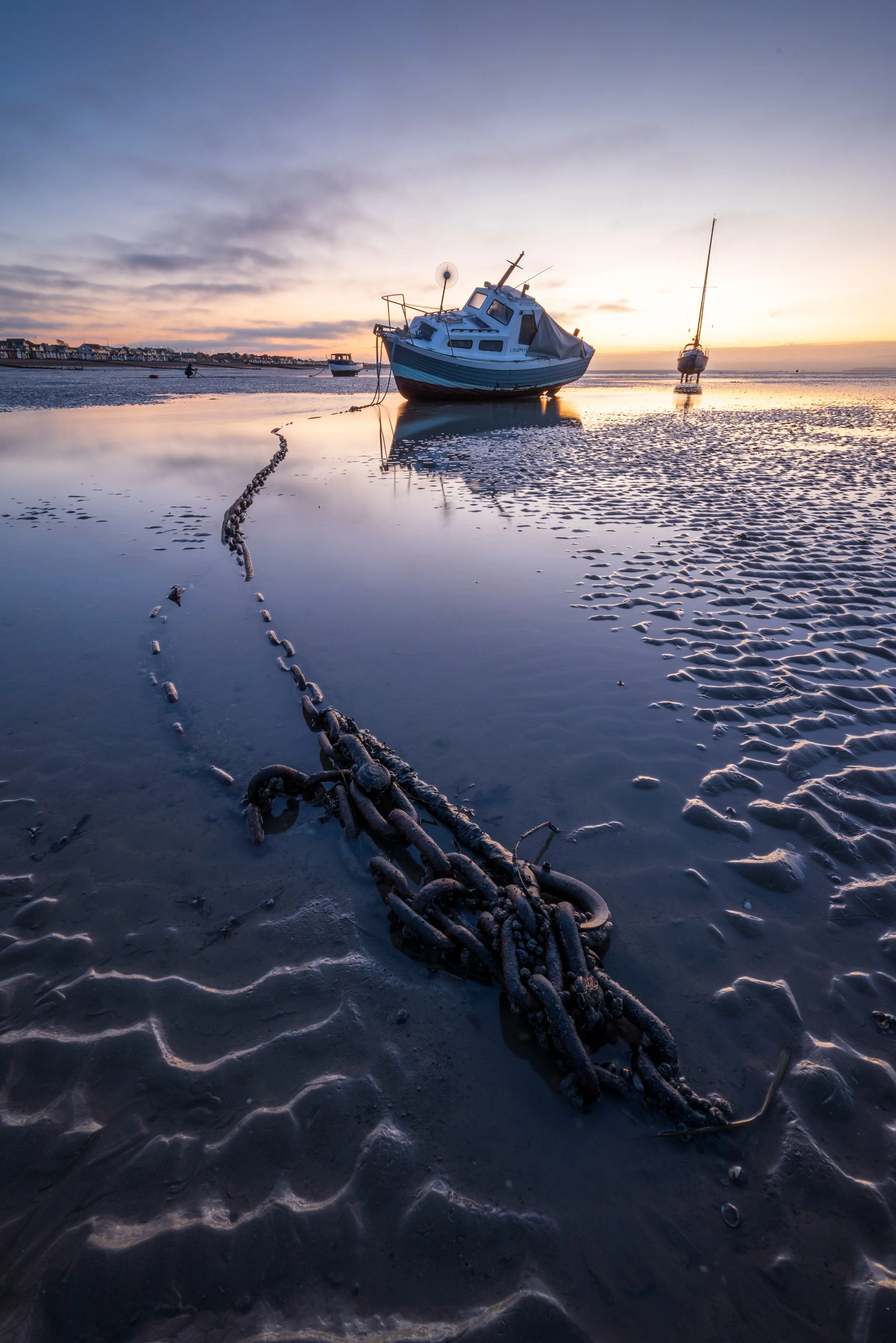 Spring Coastal & Woodland Photography Workshop