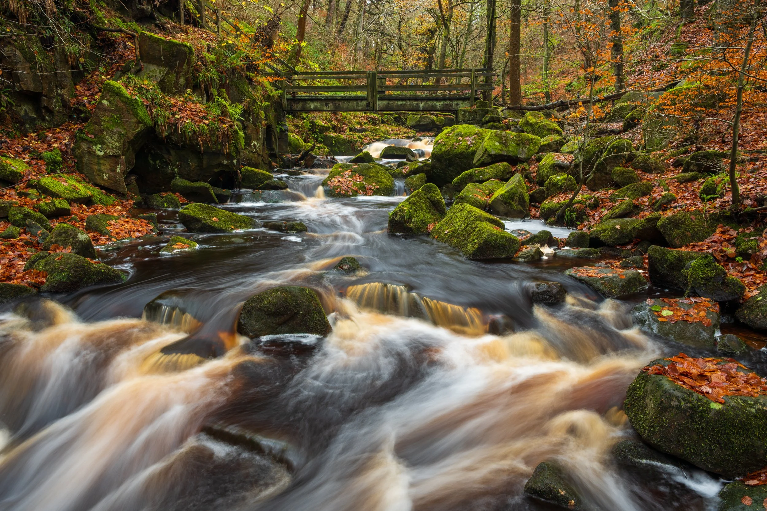 Landscape Photography Lessons (1-to-1)