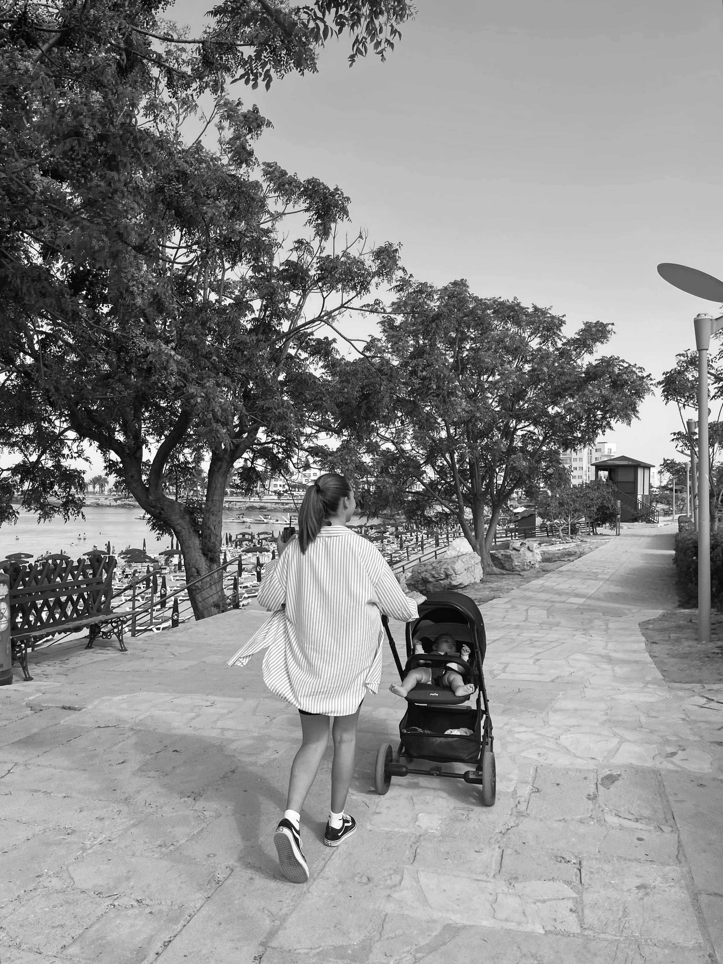 Functional Medicine for Busy Families