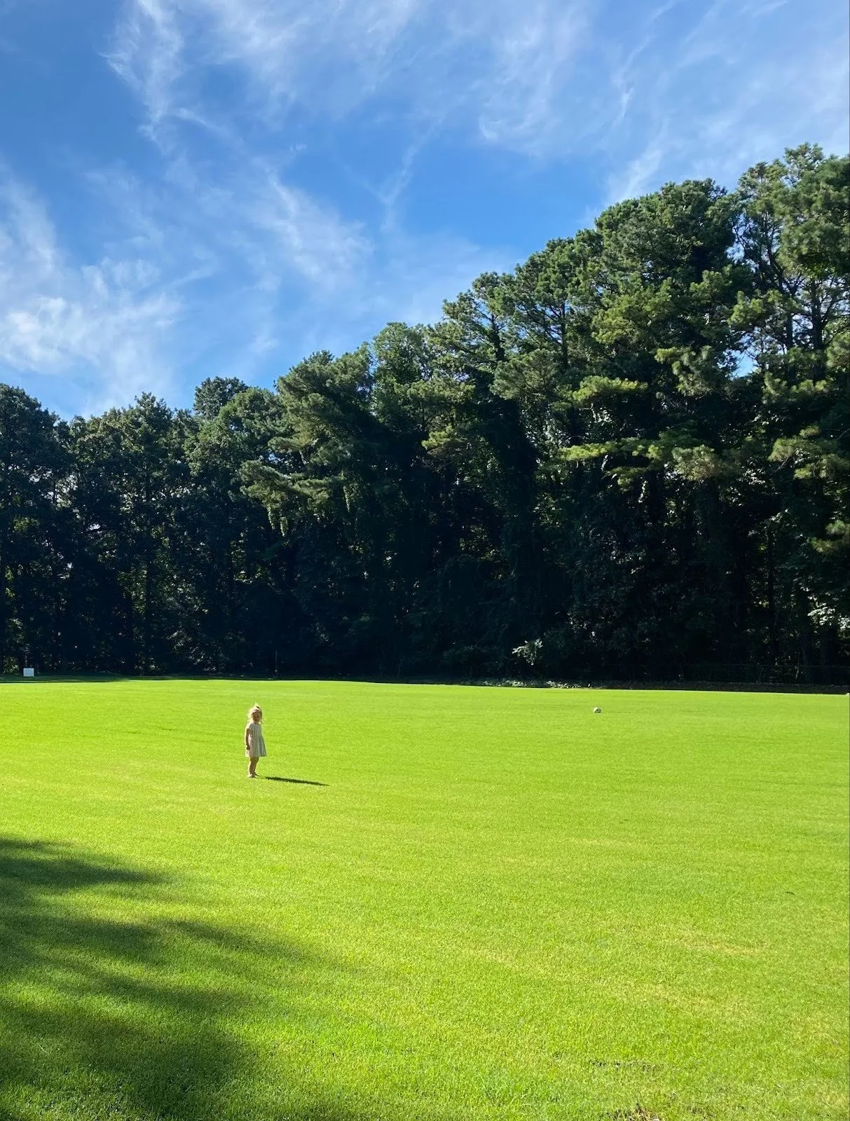 Holistic Pediatrics in Pensacola | Spring Wellness Tips