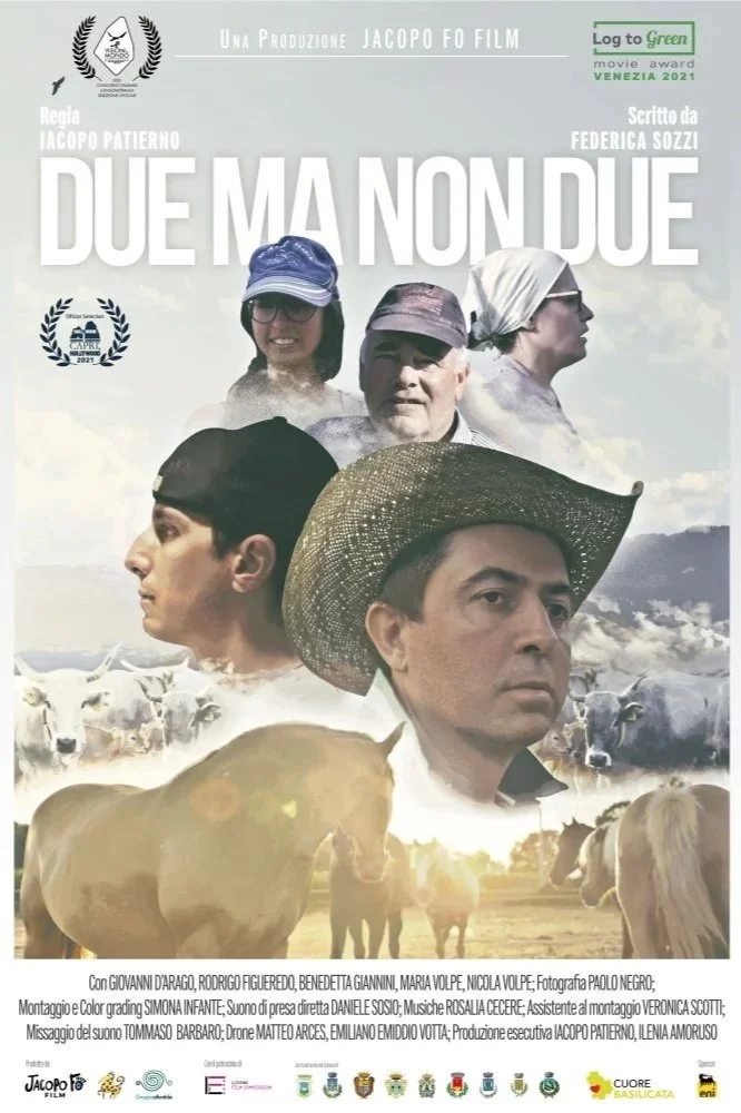 Locandina del film 'Due ma non due', con immagini di cinque personaggi, alcuni con cappelli e occhiali, sullo sfondo di mucche in un campo. Vari loghi e riconoscimenti di premi in alto, dettagli del cast e crew in basso.
