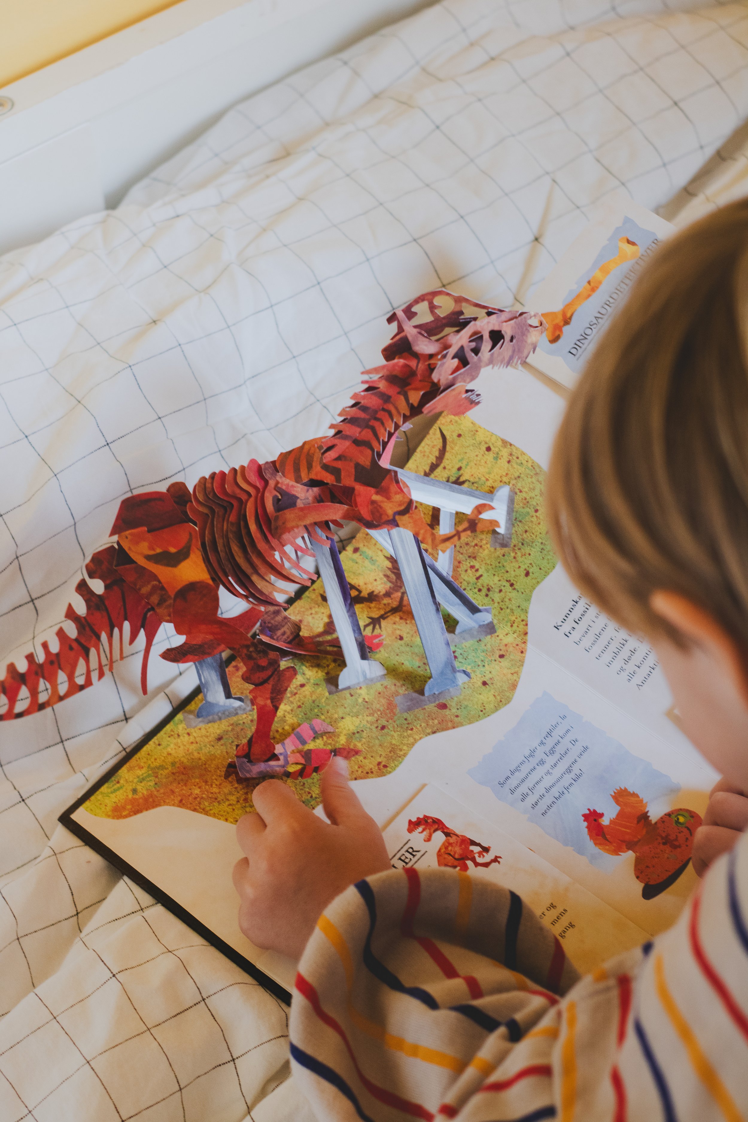 Dinosaurer - kommer tilbake til jul!