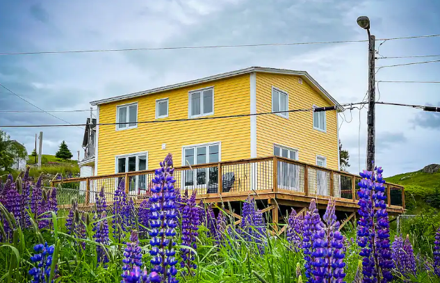 The Buttercup - Winterton