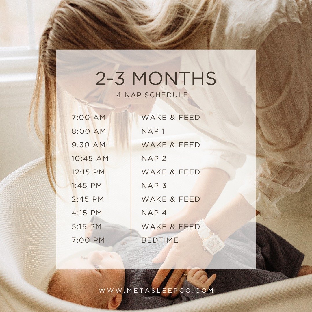 🍼 2 to 3 Month Baby Schedule: Gentle Rhythms, Predictable Days ✨

At 2 to 3 months, babies do well with consistency while still needing lots of flexibility. This four nap schedule offers a calm rhythm to your day while honouring your baby&rsquo;s na