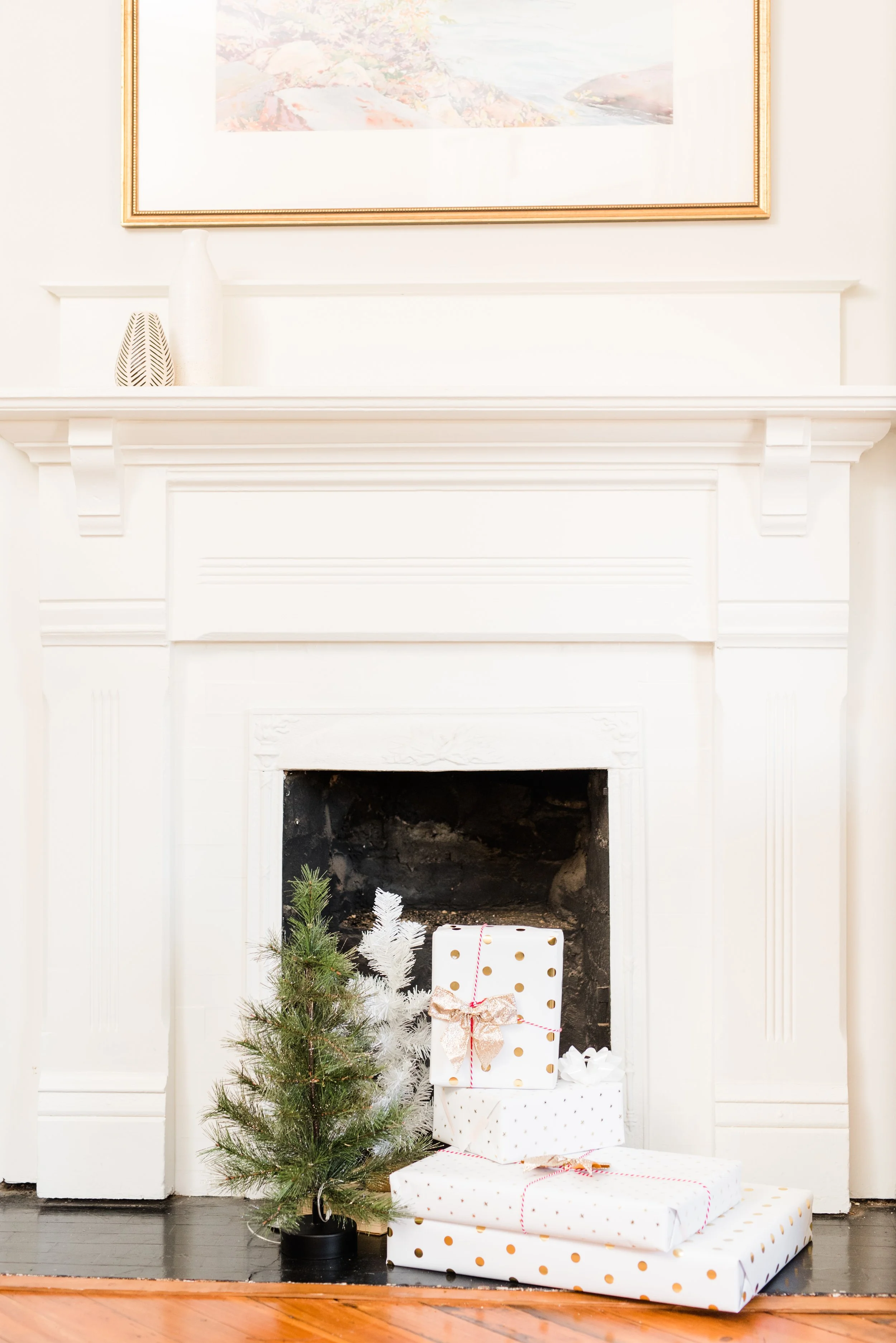 Michael _ Laura Photography Little Z Family  135.jpg