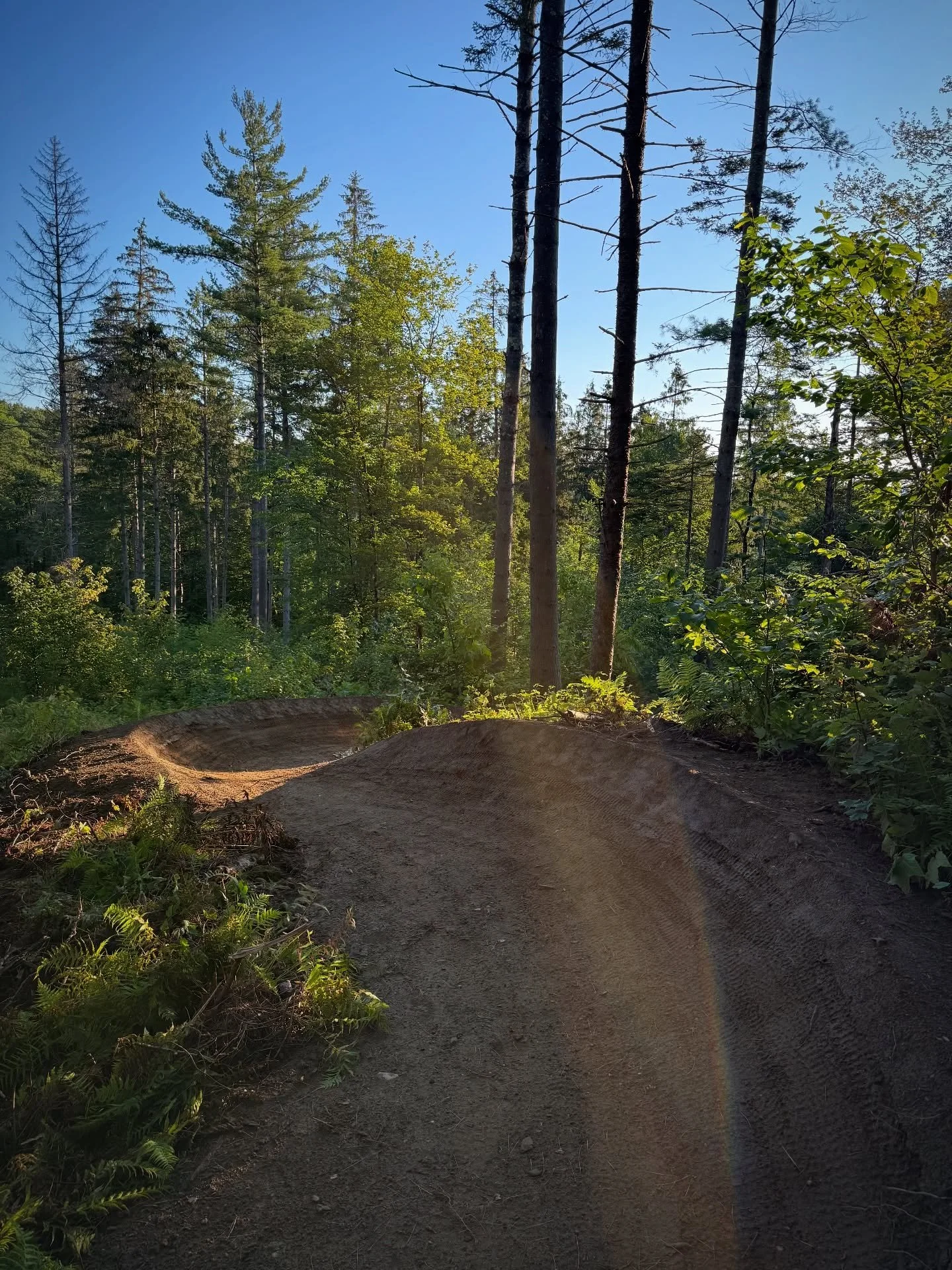 Downhill side of a beginner loop we built a few weeks back in at Sayward Town Forest in Randolph VT for @ridgeline802. Basically a low angle turn track. It&rsquo;s short but it&rsquo;s sweet. The climb side was built by @apex_trailworks_llc and it&rs