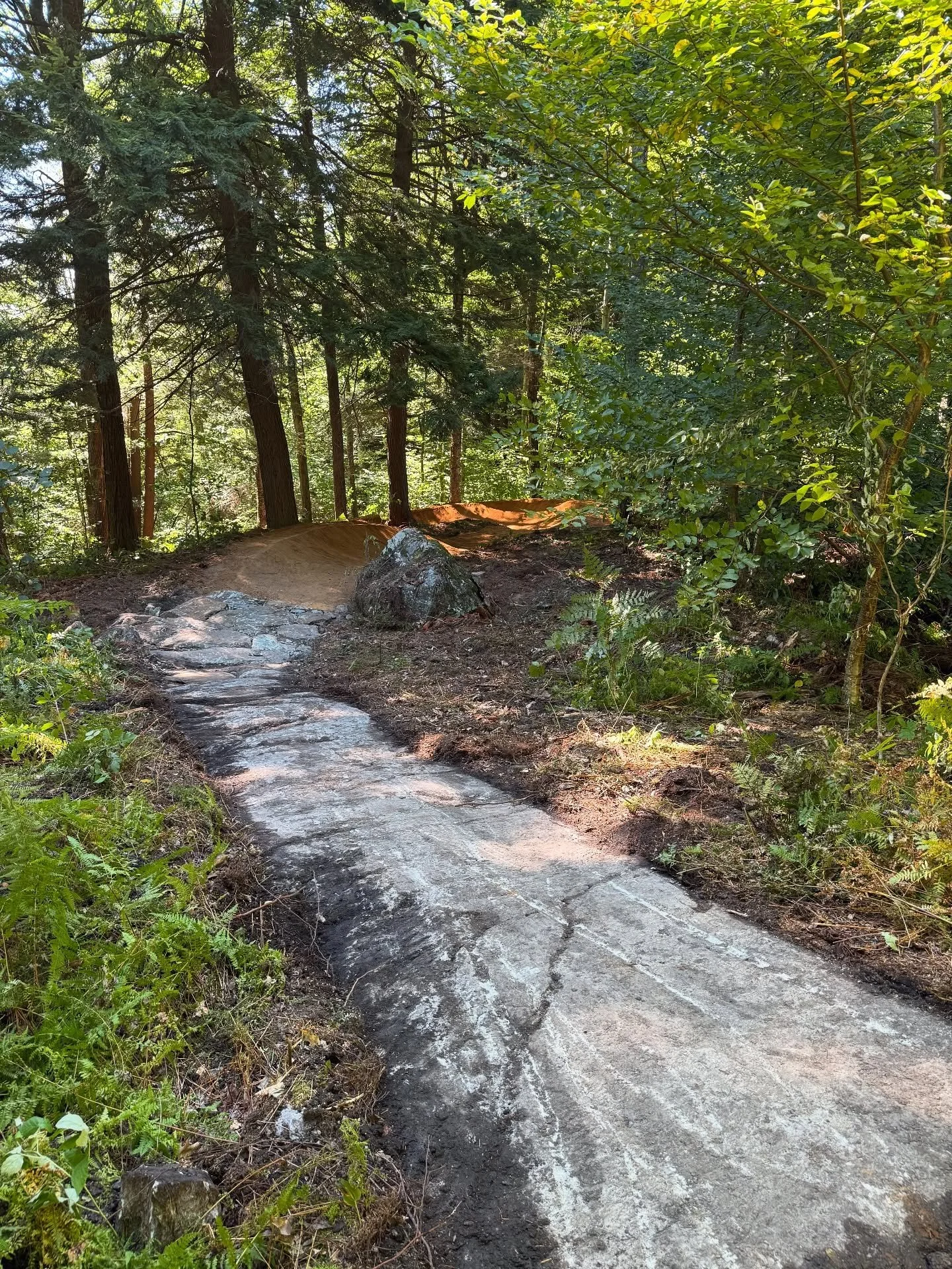 Photos from the last two projects we did up at the Driving Range in Bolton VT for @richmondmountaintrails. A reroute to eliminate some climb trail crossings on the jump trail and a cool ledge and rock entrance into brush fire to help open things up f