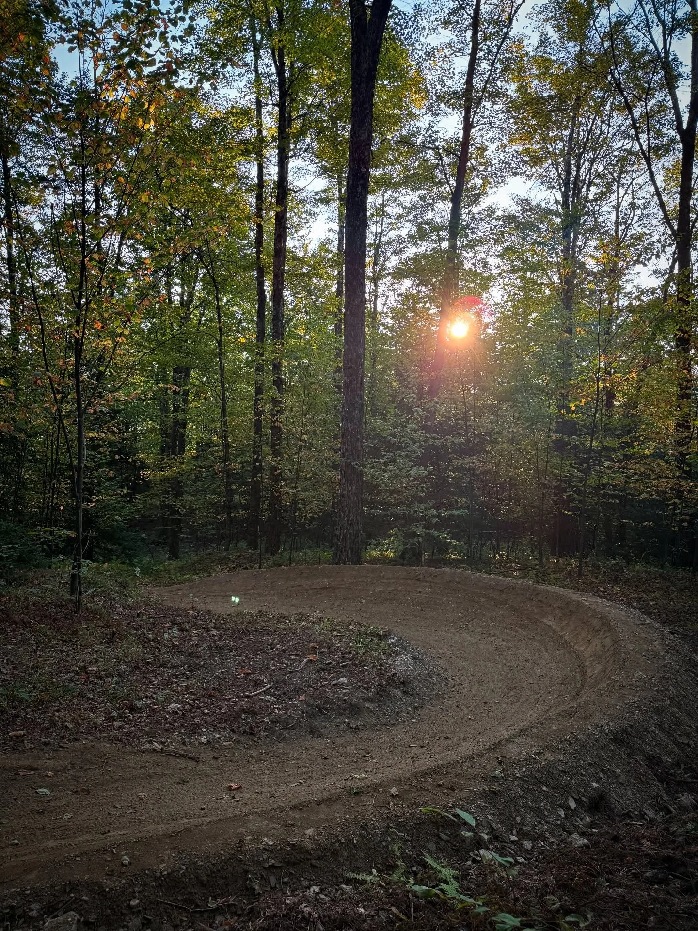 New rerouted section of Evolution trail in Waitsfield VT for @madriverriders and @vtforestsparksrecreation.  Extremely dry and dusty building conditions. Ready for some rain! 

#trailbuilding #trailwork #mtbtrails #mtb #trails #ldtrailworks #lepesque