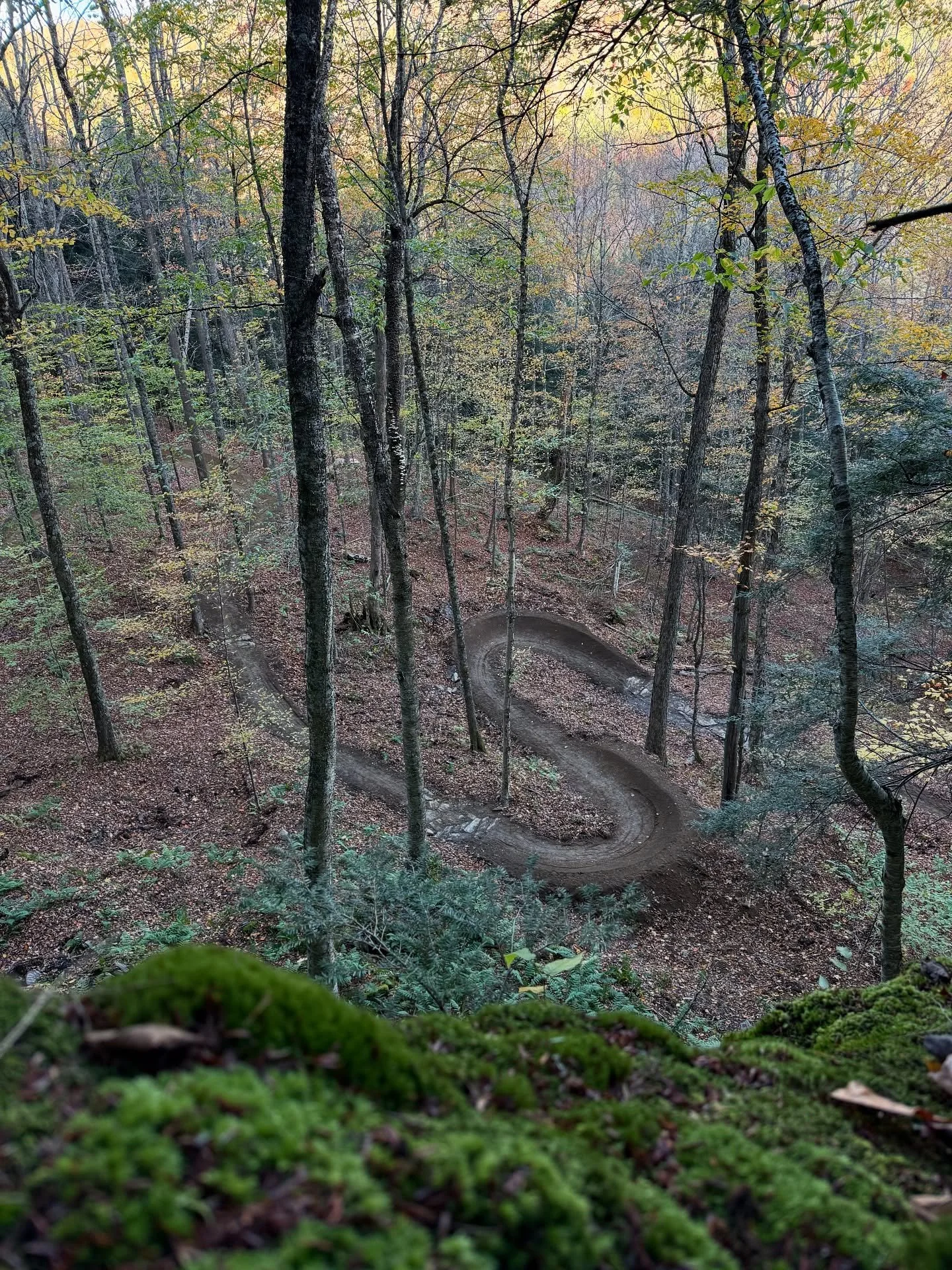Really challenging but interesting trail we have been working on through some amazing terrain in a private trail network. 

#trailbuilding #mtbtrail #mtb #trail #ldtrailworks #lepesqueuranddaughters